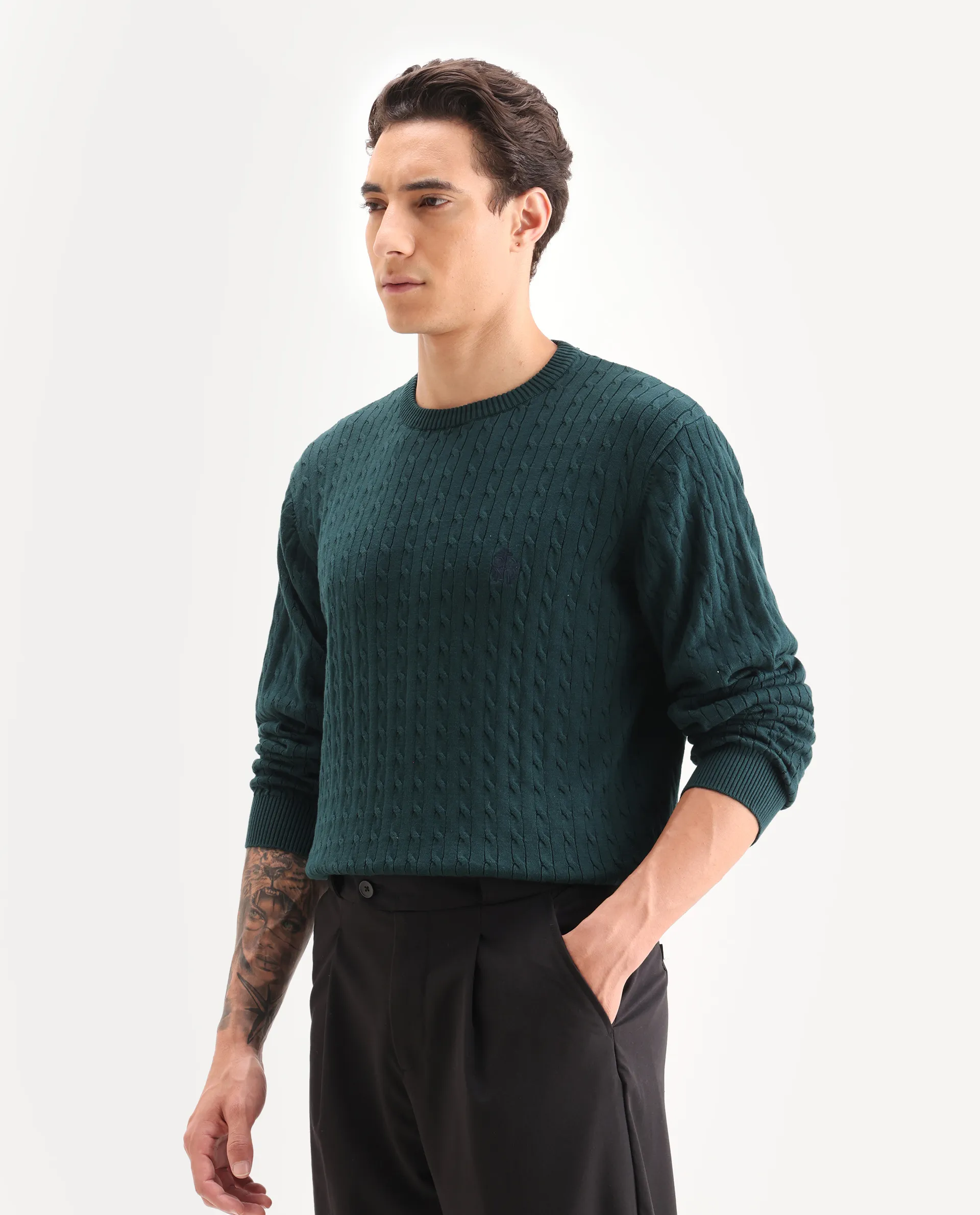 Rare Rabbit Men's Prota Dark Green Cotton Plain Regular Fit Full Sleeve Crew Neck Sweater - Image 5