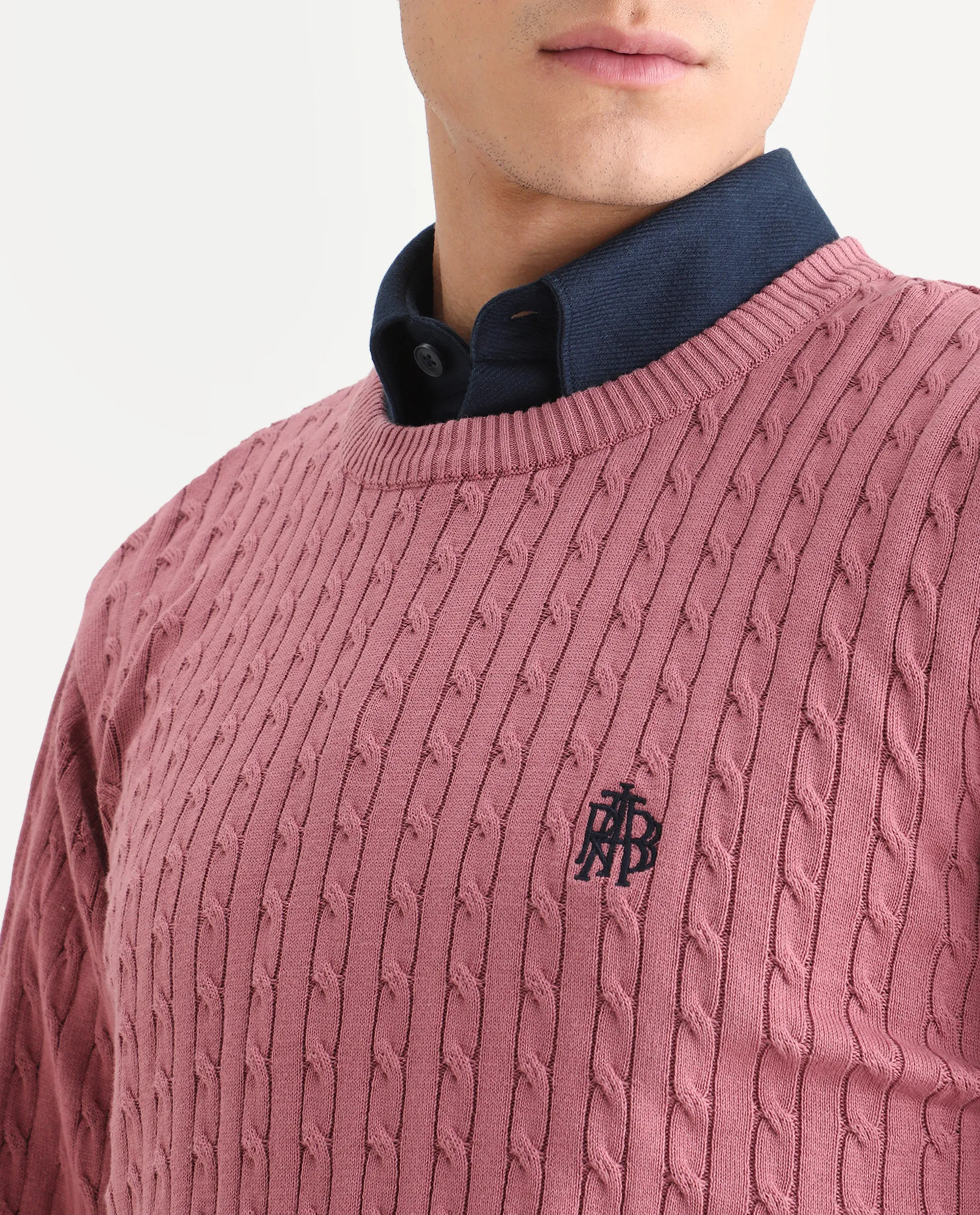 Rare Rabbit Men's Plain Regular Fit Full Sleeve Crew Neck Sweater - Image 3