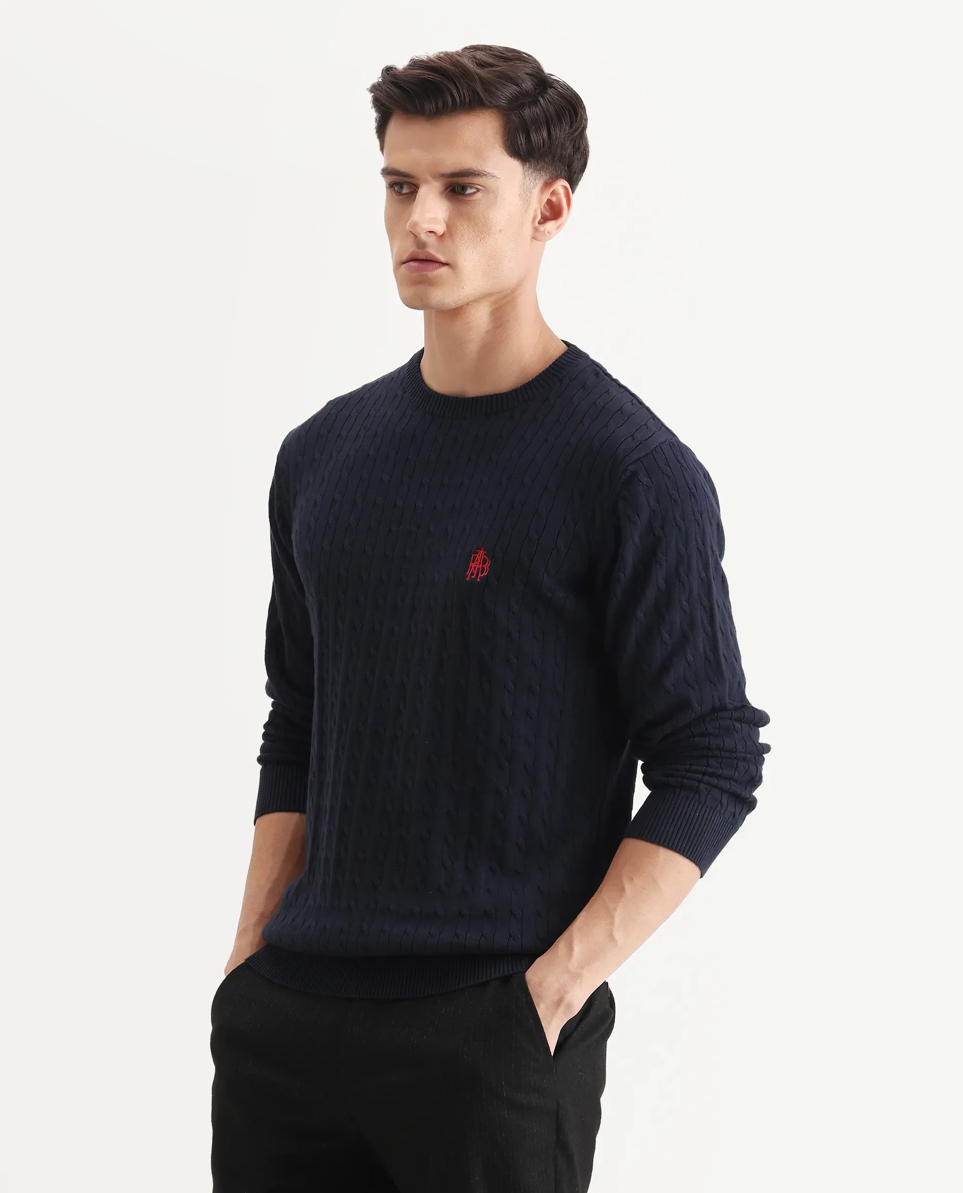 Rare Rabbit Men's Prota Navy Cotton Plain Regular Fit Full Sleeve Crew Neck Sweater - Image 4