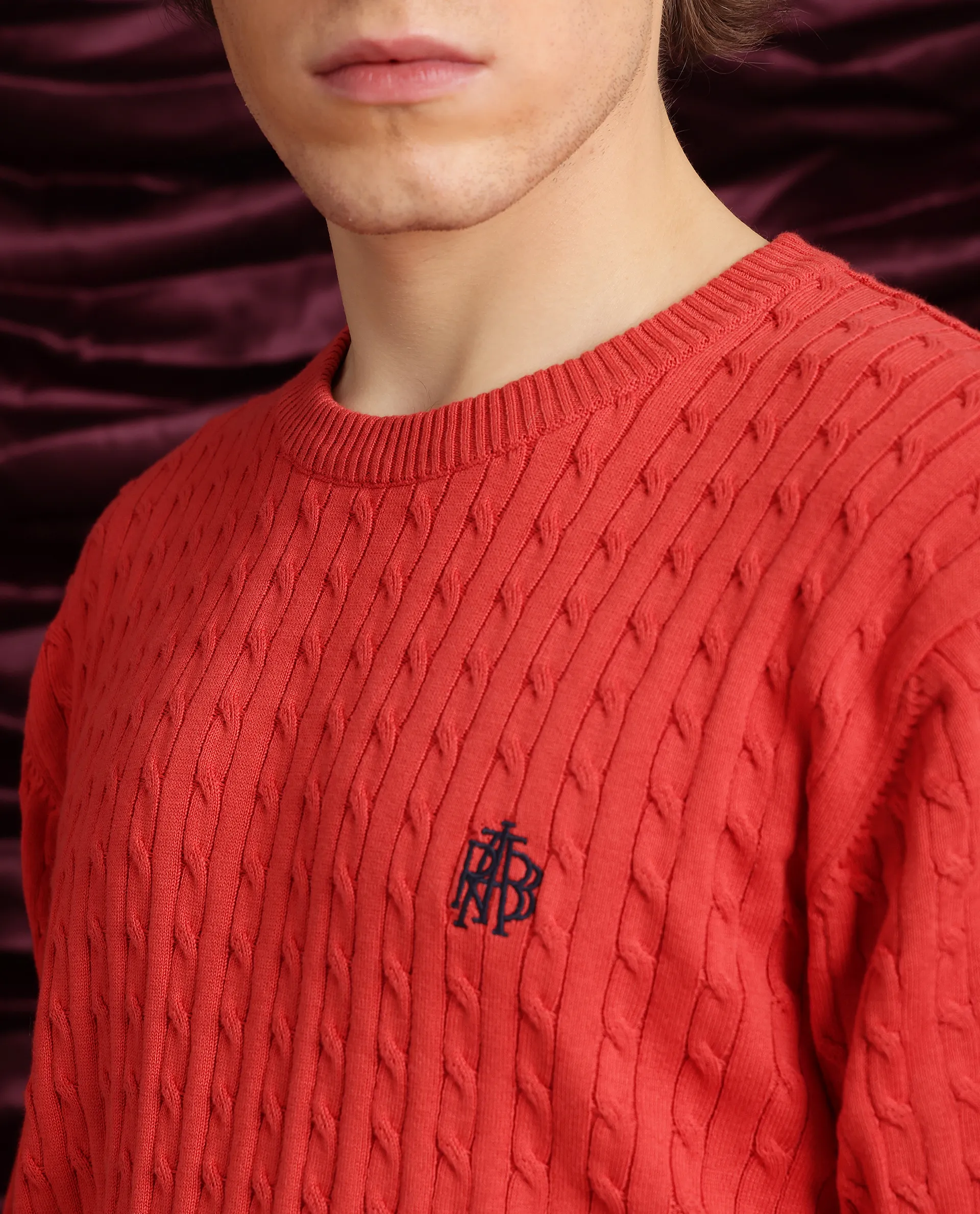 Rare Rabbit Men's Prota Orange Cotton Plain Regular Fit Full Sleeve Crew Neck Sweater - Image 3