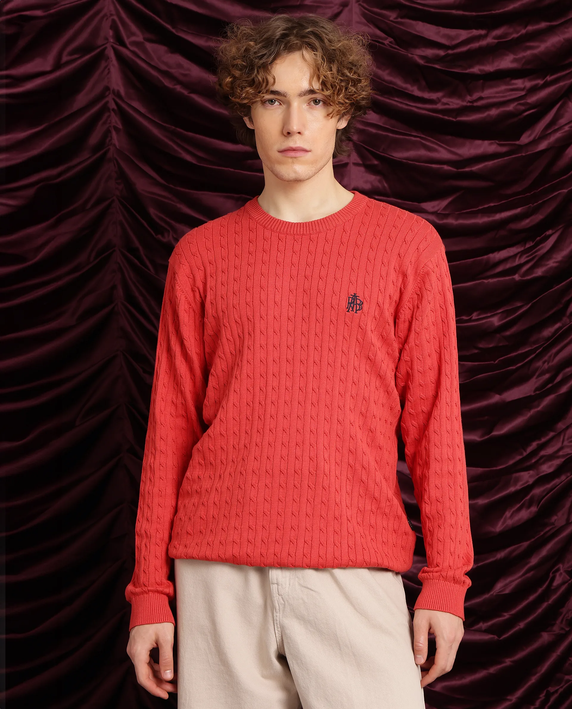Rare Rabbit Men's Prota Orange Cotton Plain Regular Fit Full Sleeve Crew Neck Sweater - Image 6