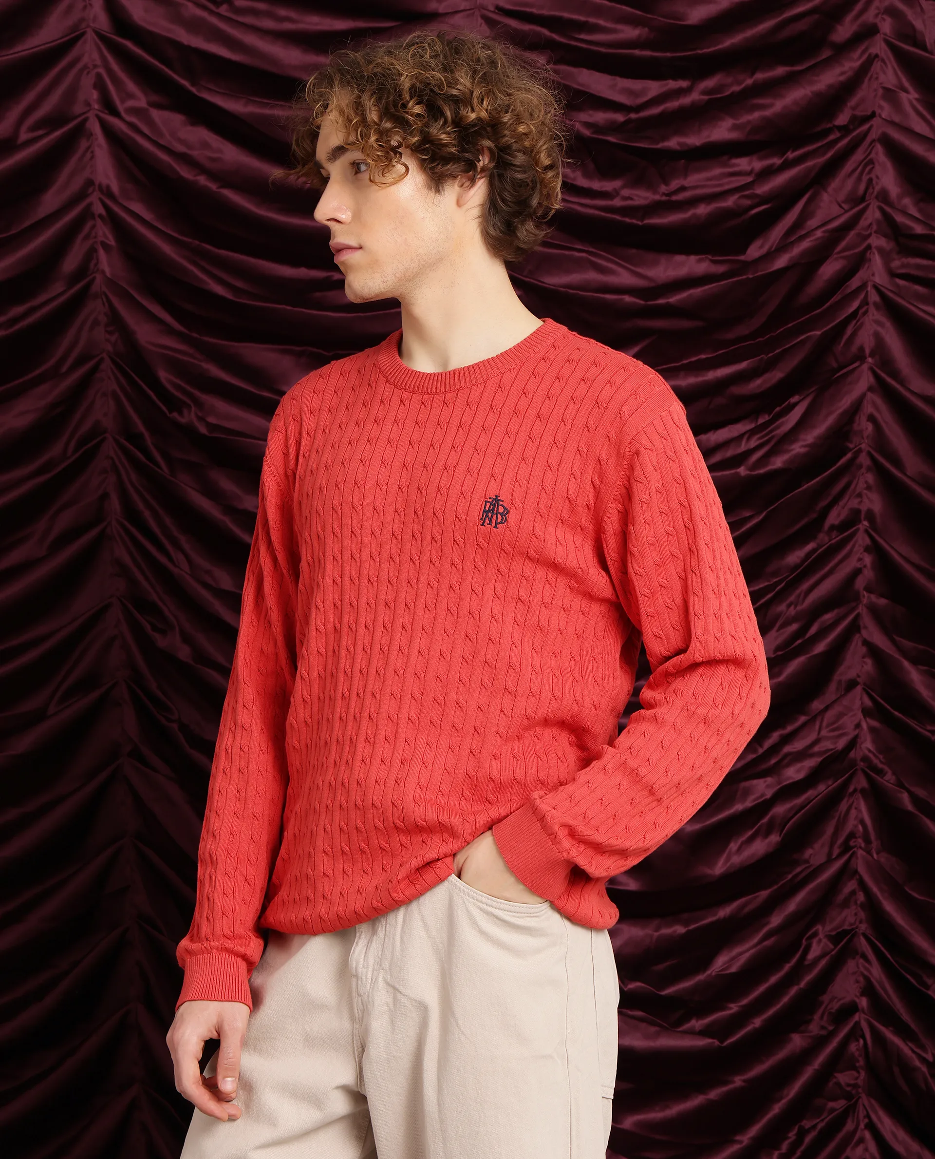 Rare Rabbit Men's Prota Orange Cotton Plain Regular Fit Full Sleeve Crew Neck Sweater - Image 8