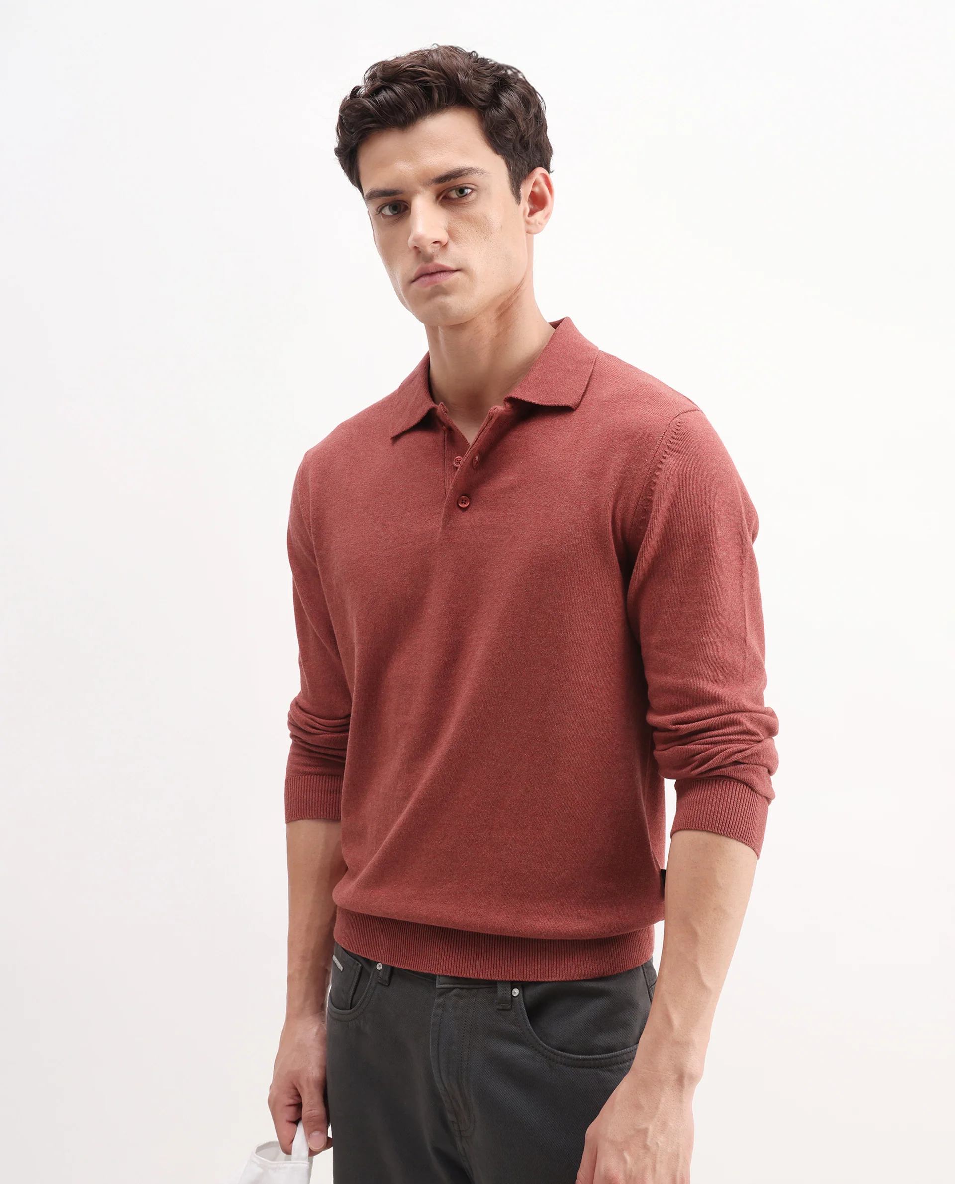 Rare Rabbit Men's Pyer-25 Rust Cotton Blend Fabric Collared Neck Regular Fit Plain Polo