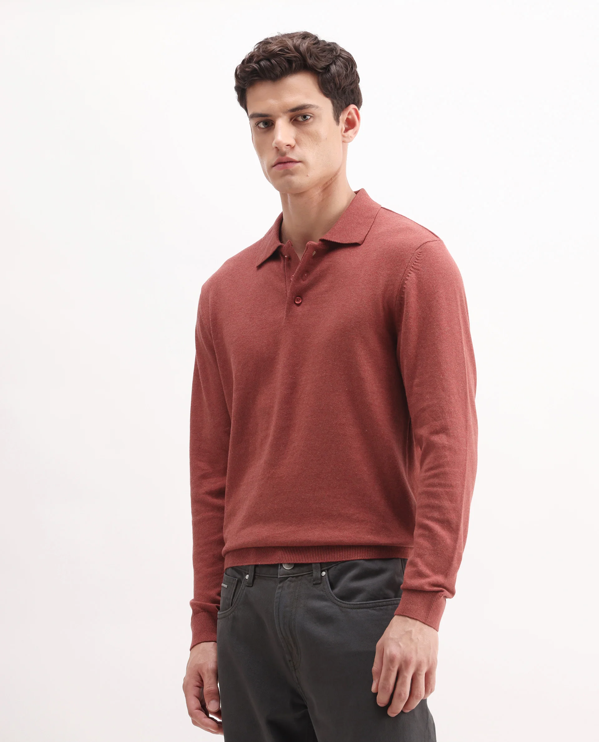 Rare Rabbit Men's Pyer-25 Rust Cotton Blend Fabric Collared Neck Regular Fit Plain Polo - Image 4