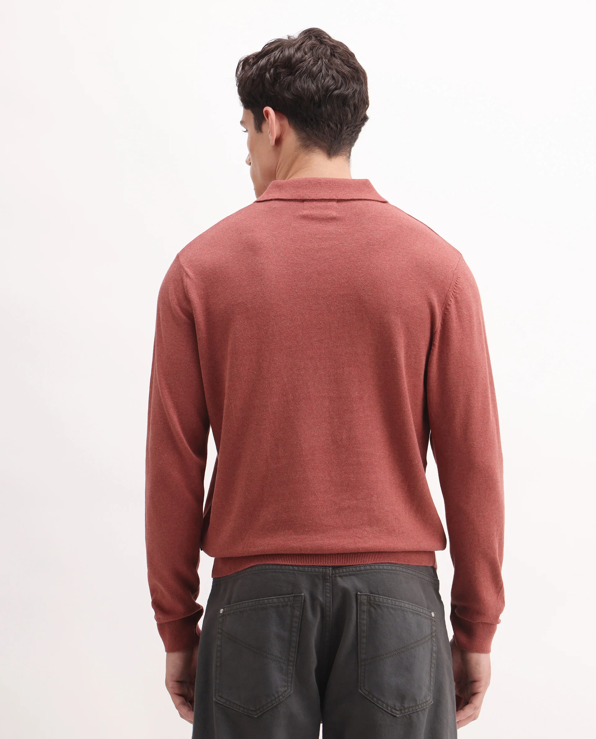 Rare Rabbit Men's Pyer-25 Rust Cotton Blend Fabric Collared Neck Regular Fit Plain Polo - Image 7