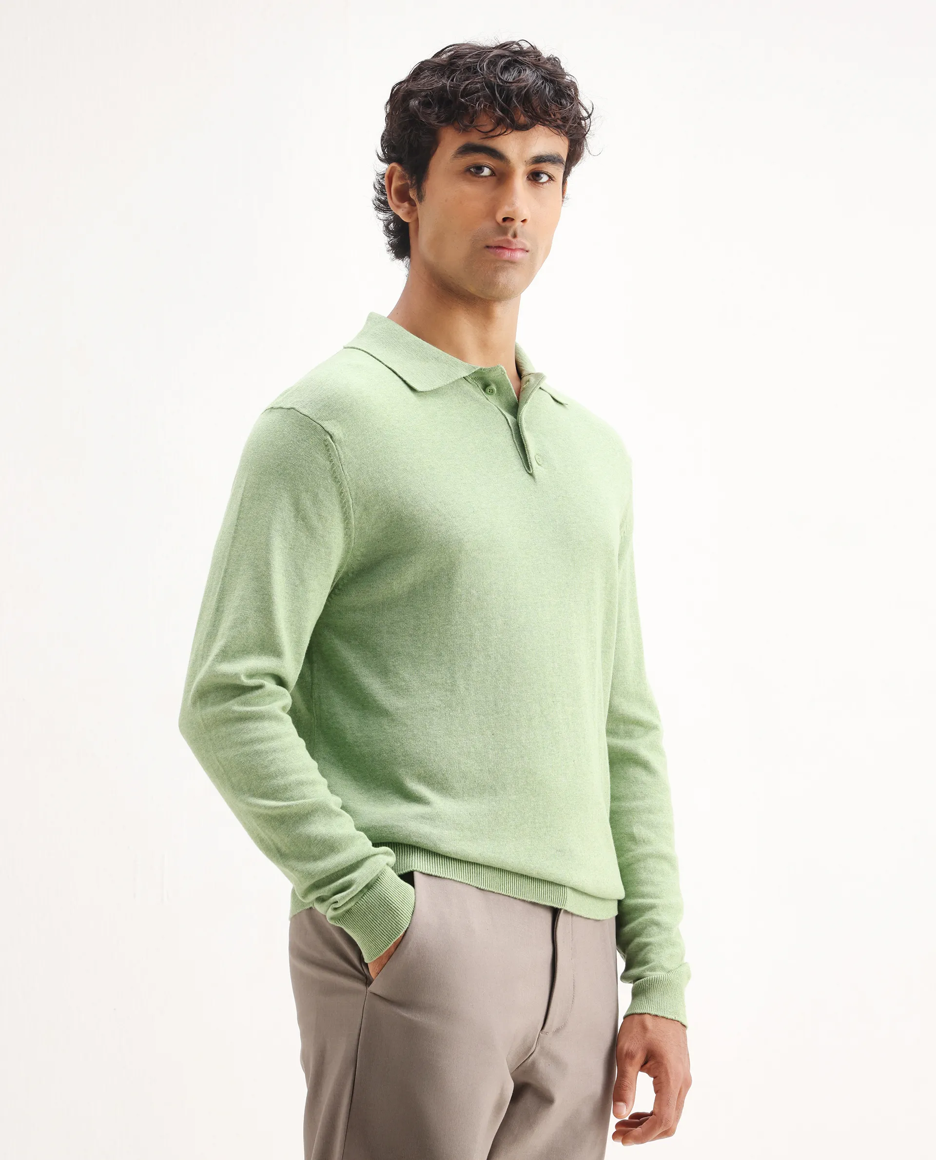 Rare Rabbit Men's Pyer Light Green Flat Knit Plain Regular Fit Full Sleeve Polo - Image 6
