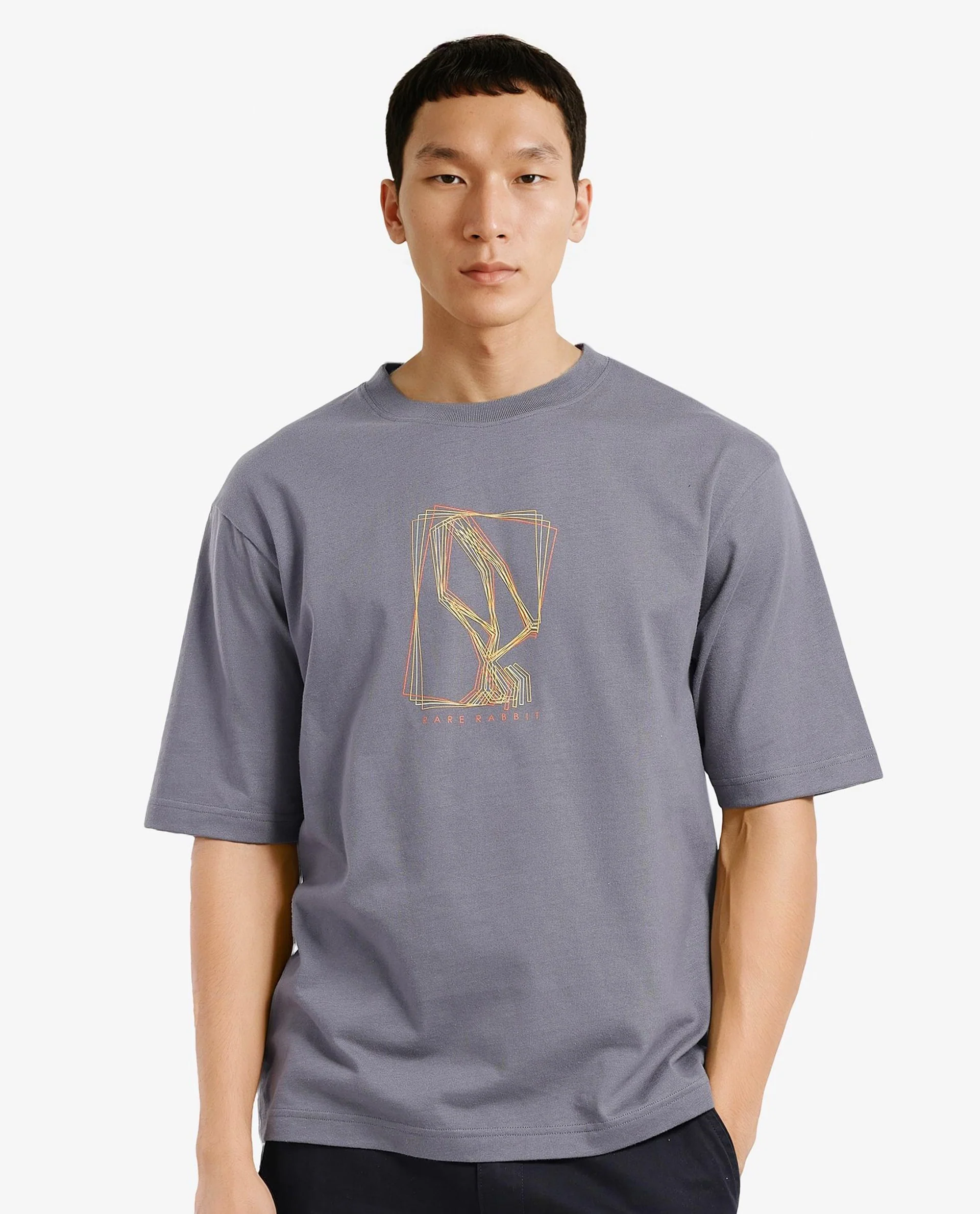 Rare Rabbit Men's Que Grey Cotton Graphic Print Regular Fit Half Sleeve Crew Neck T-Shirt