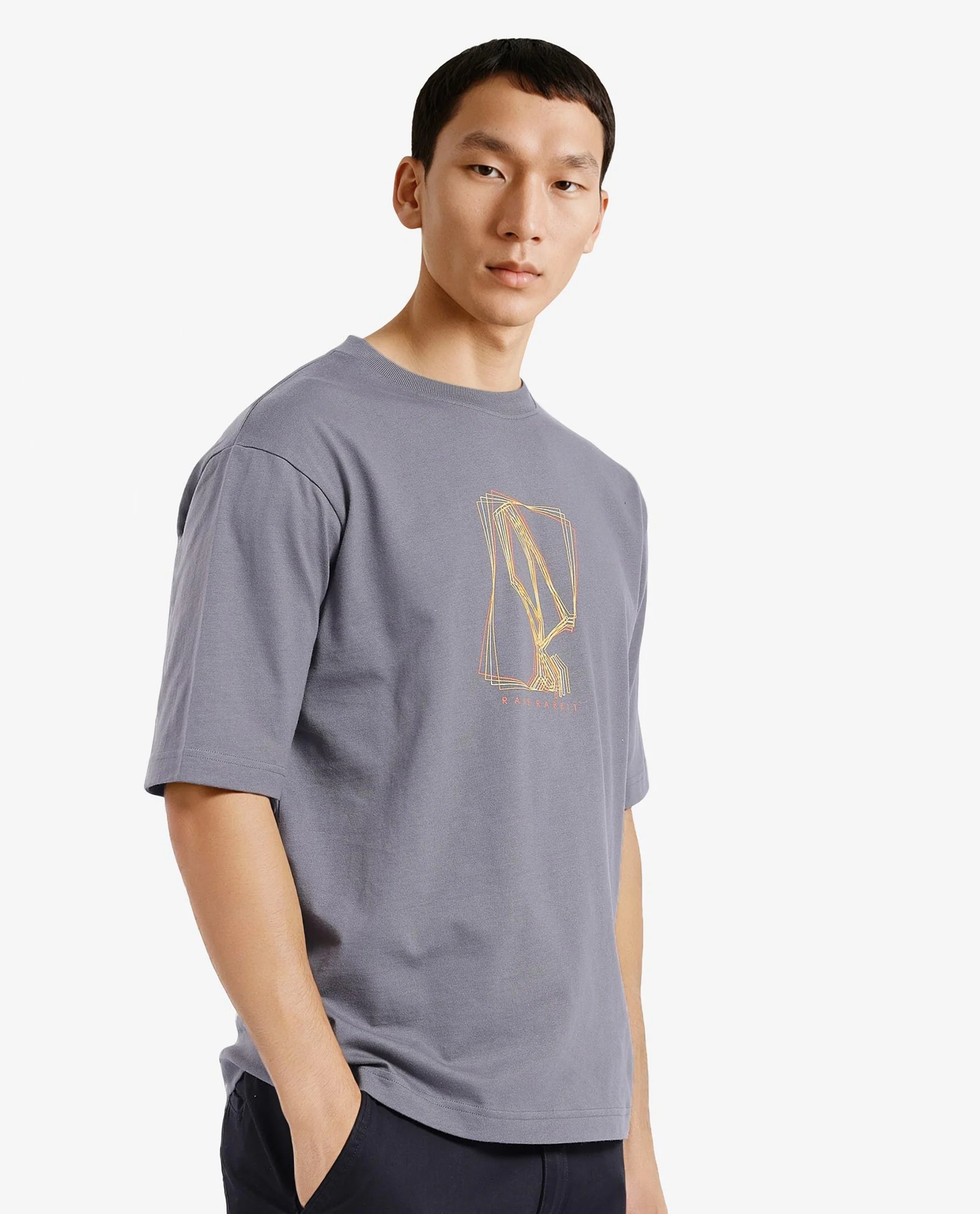 Rare Rabbit Men's Que Grey Cotton Graphic Print Regular Fit Half Sleeve Crew Neck T-Shirt - Image 6