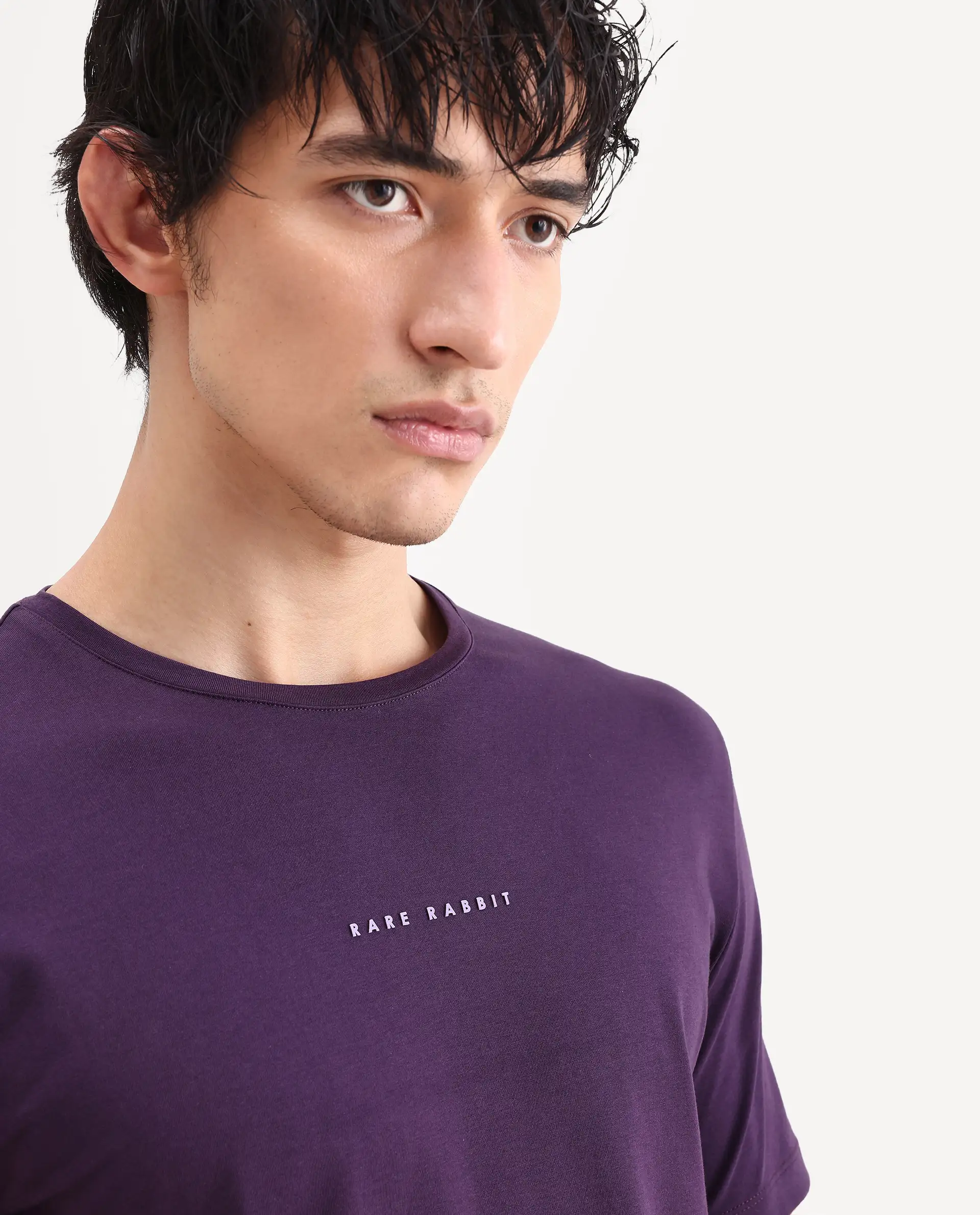 Rare Rabbit Men's Rabbit-S26 Dark Purple Cotton Blend Fabric Half Sleeve Crew Neck Regular Fit Plain T-Shirt - Image 4