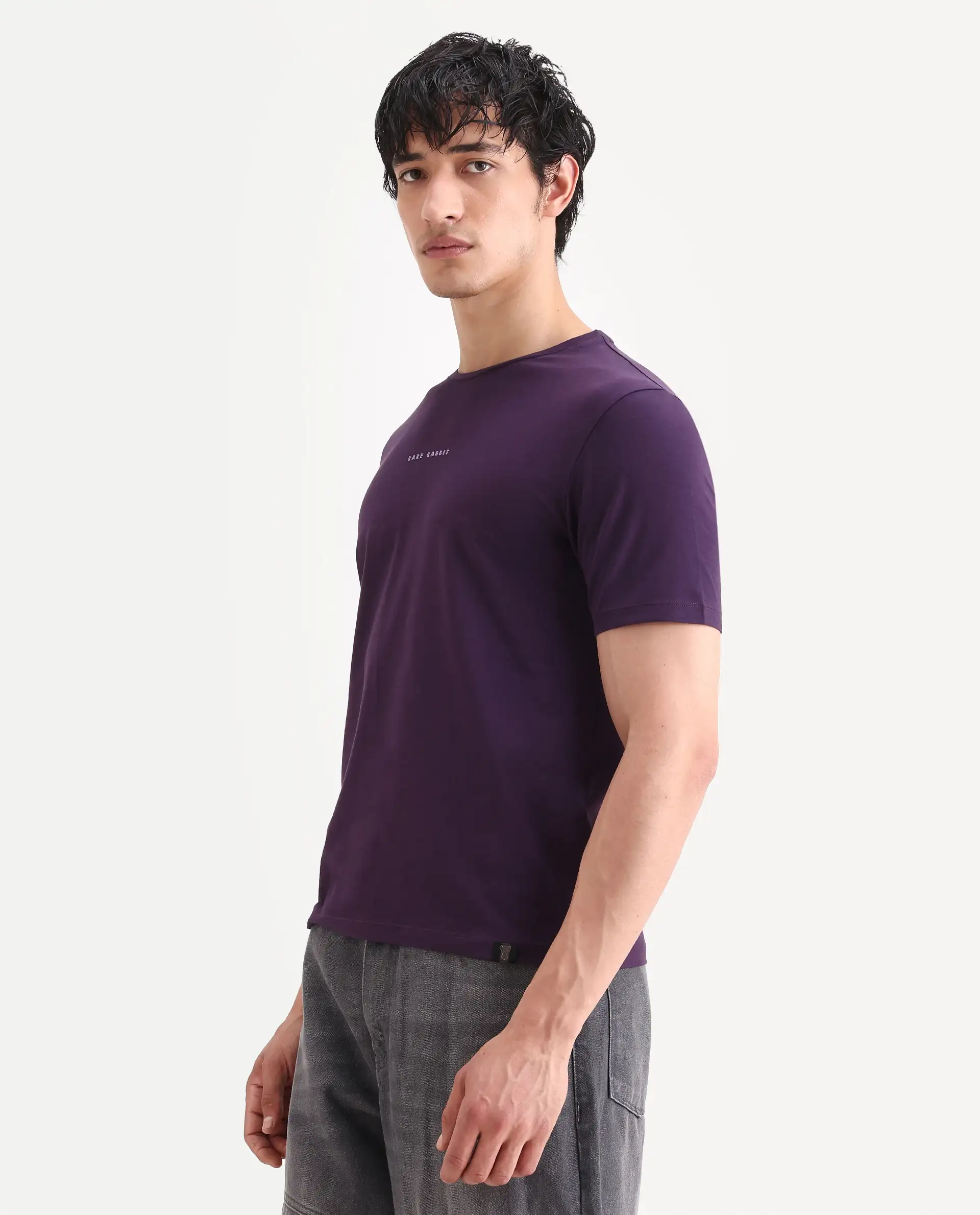 Rare Rabbit Men's Rabbit-S26 Dark Purple Cotton Blend Fabric Half Sleeve Crew Neck Regular Fit Plain T-Shirt - Image 5