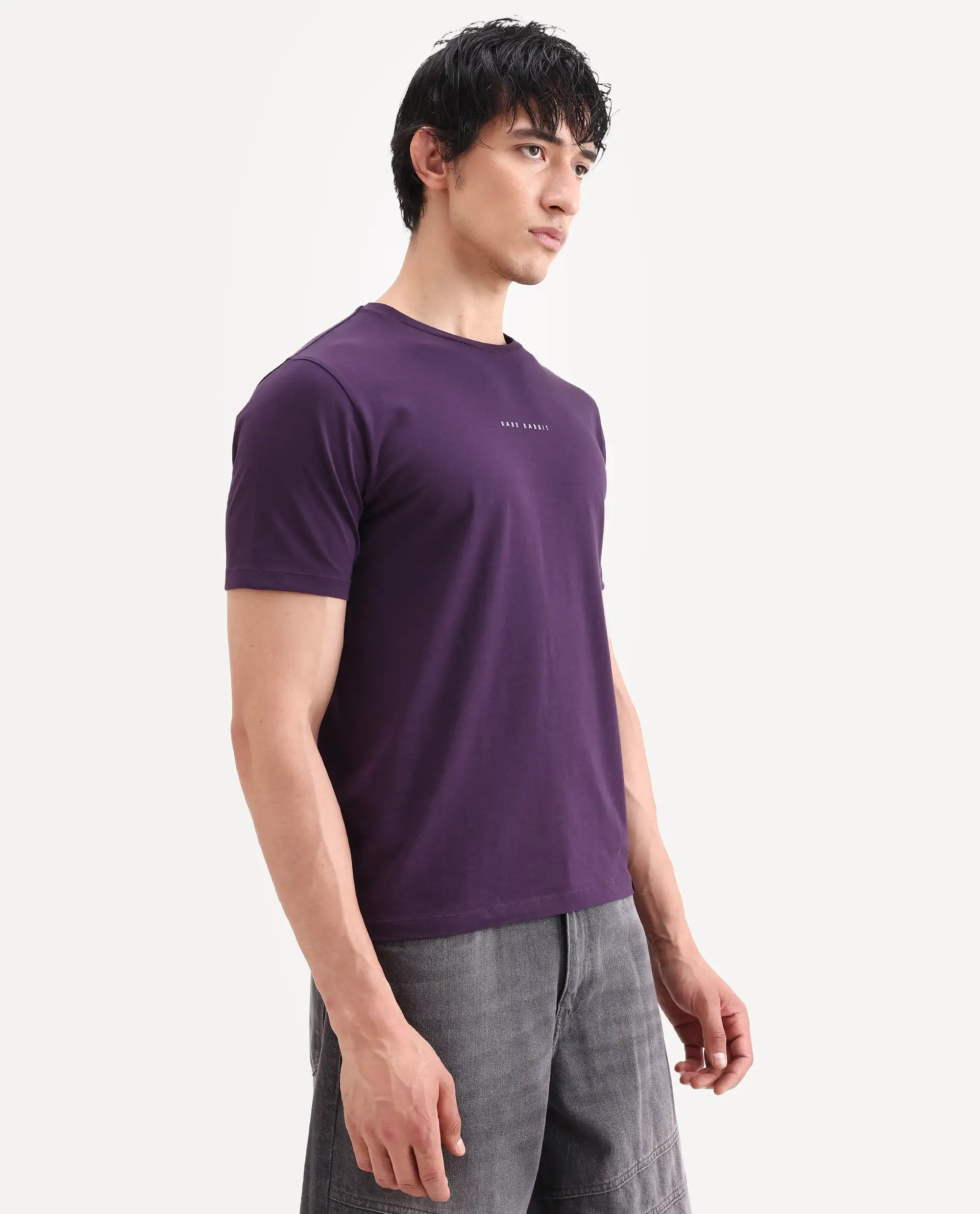 Rare Rabbit Men's Rabbit-S26 Dark Purple Cotton Blend Fabric Half Sleeve Crew Neck Regular Fit Plain T-Shirt - Image 6