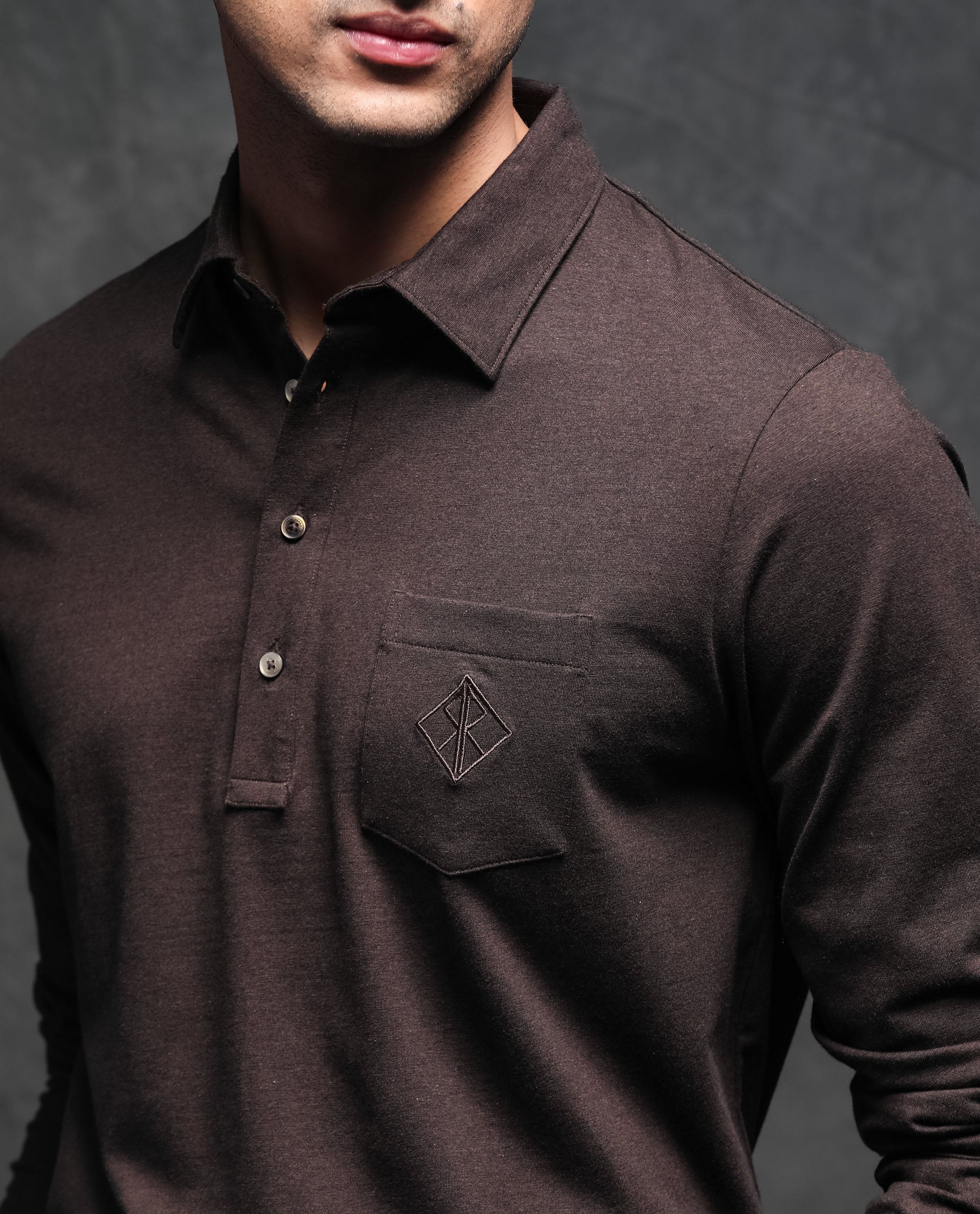 Rare Rabbit Men's Ralfet Brown Cotton Embroidered Regular Fit Full Sleeve Polo - Image 2
