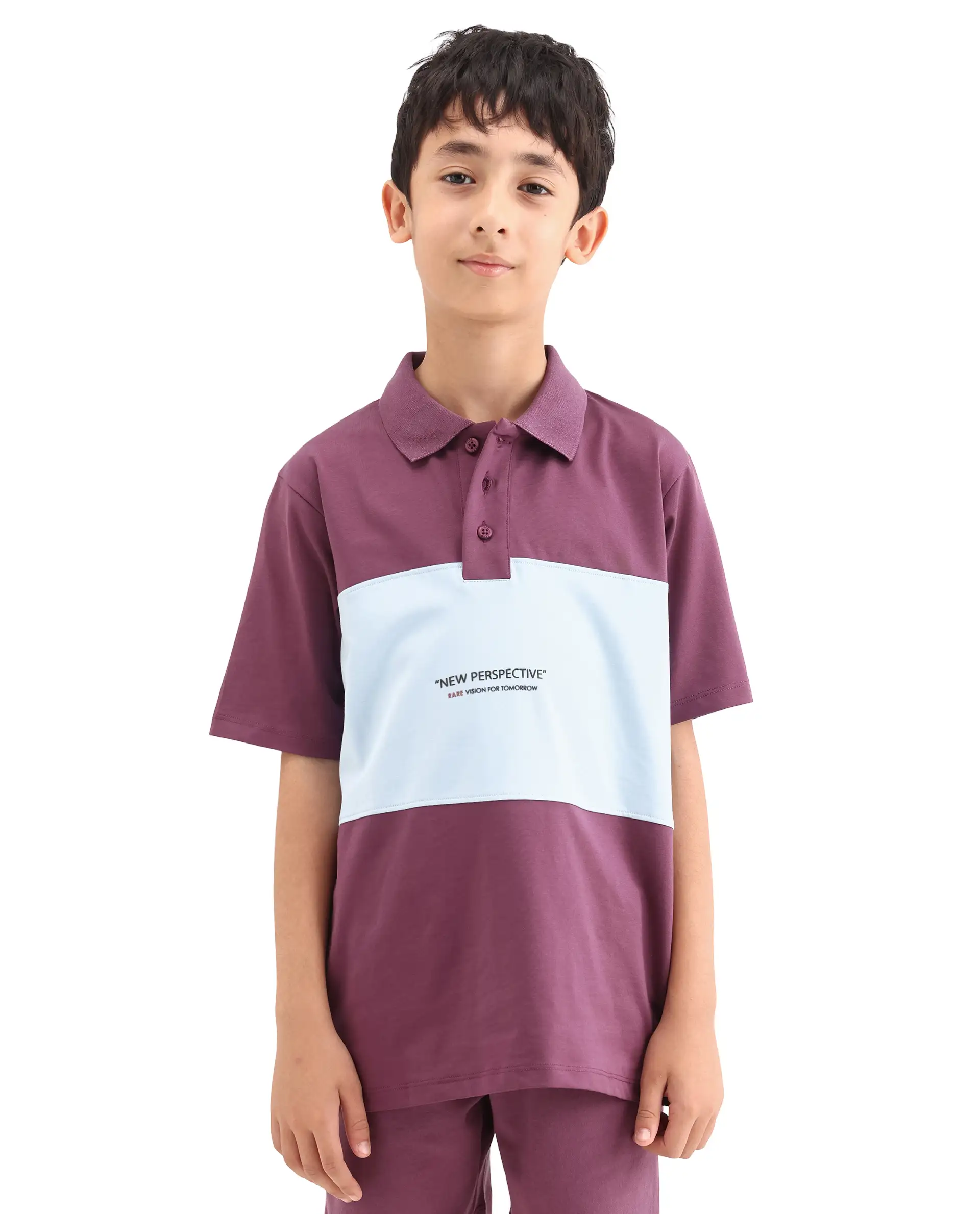 Rare Ones Kids Boxo Dusky Purple Cotton Button Closure Color Block Regular Fit Polo - Image 4
