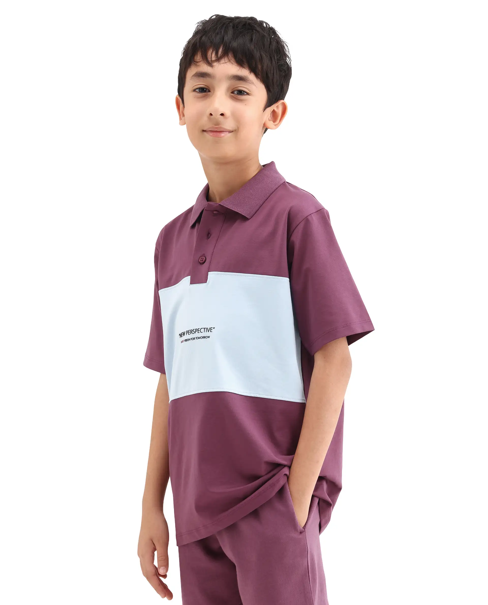 Rare Ones Kids Boxo Dusky Purple Cotton Button Closure Color Block Regular Fit Polo - Image 5