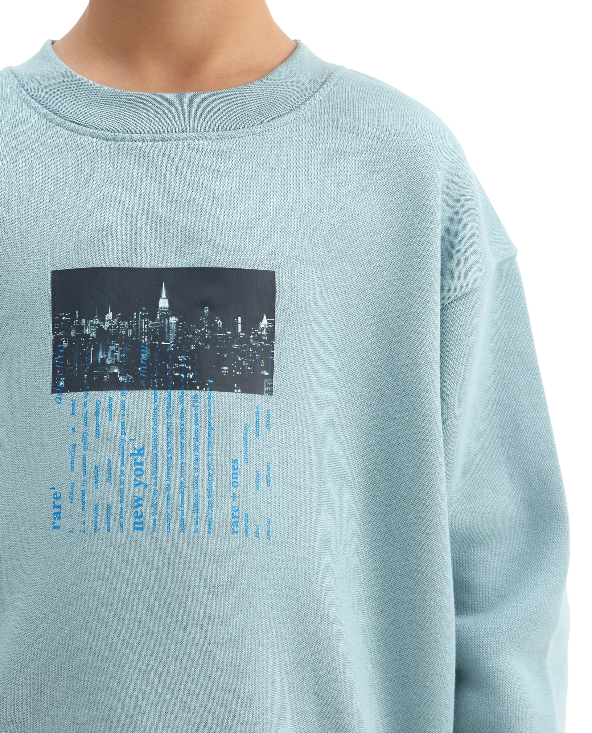 Rare Ones Kids Elio Light Blue Cotton Blend Digital Print Oversized Sweatshirt - Image 4