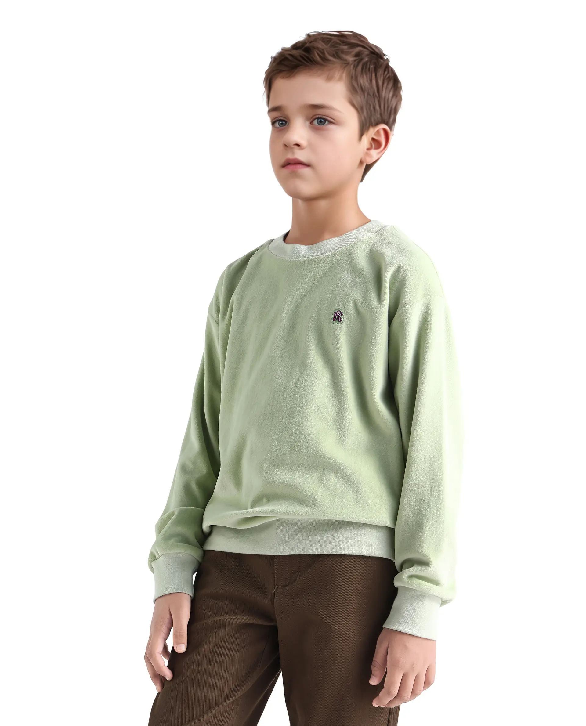 Rare Ones Kids Ellis Light Green Cotton Pull On Crew Neck Full Sleeves Fit Sweatshirt - Image 4