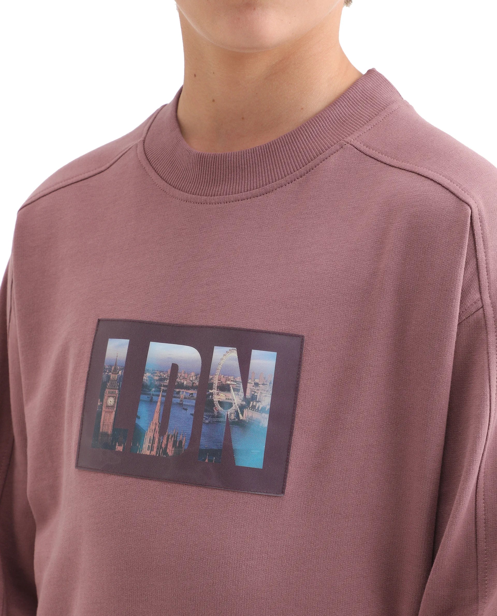 Rare Ones Kids Zayn Dusky Pink Cotton Pull On Crew Neck Full Sleeves Fit Sweatshirt - Image 4