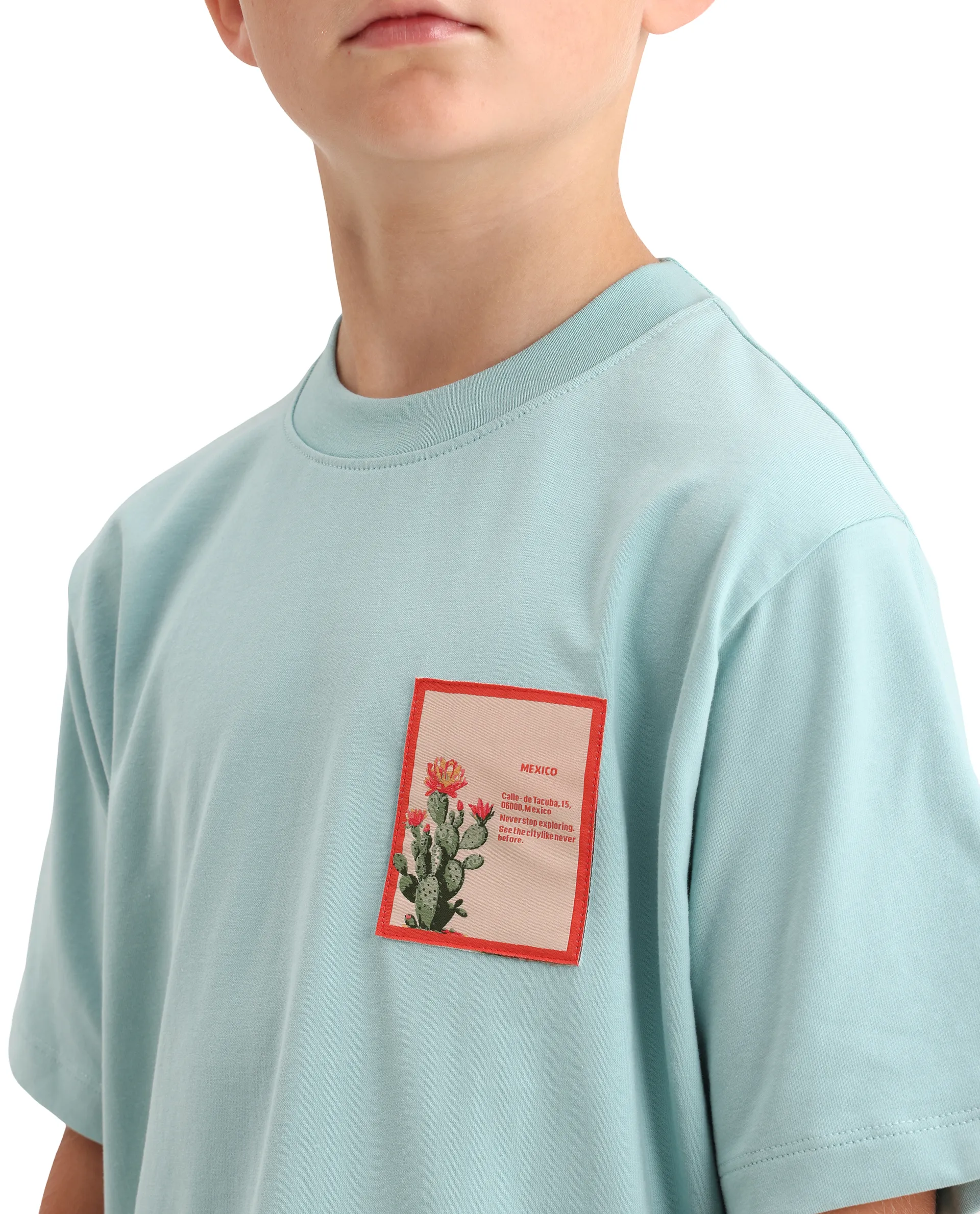 Rare Ones Kids Citz-26 Dusky Blue Cotton Blend Fabric Pull-On Closure Regular Fit T-Shirt - Image 4