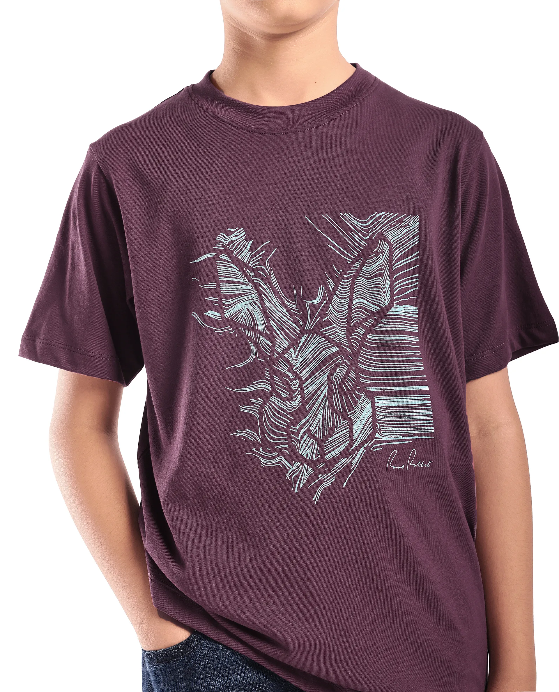 Rare Ones Kids Riggs Dark Maroon Cotton Pigment Print Regular Fit T-Shirt - Image 4