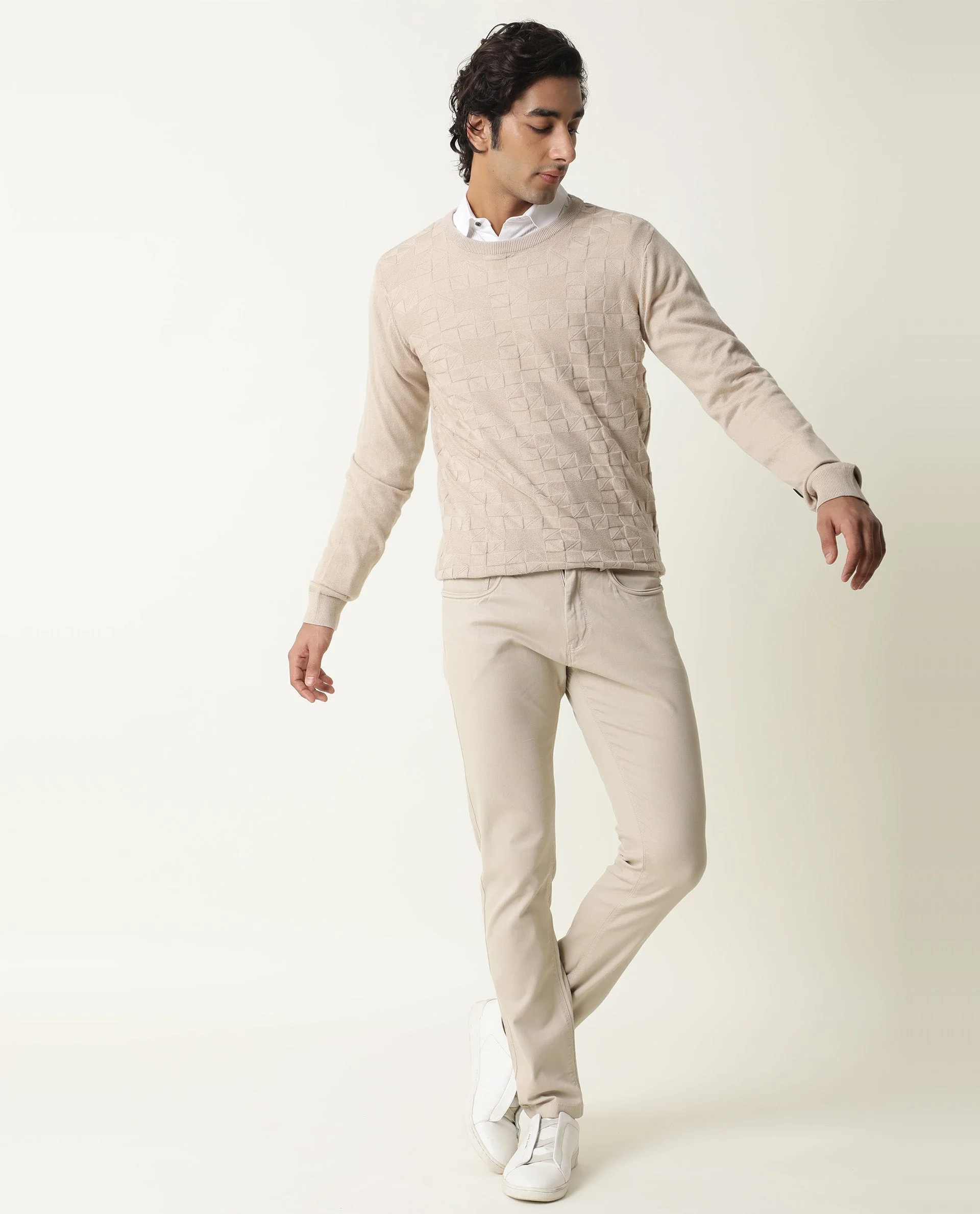 Rare Rabbit Men's Russ Beige Cotton Textured Relaxed Fit Full Sleeve Crew Neck Sweater - Image 2