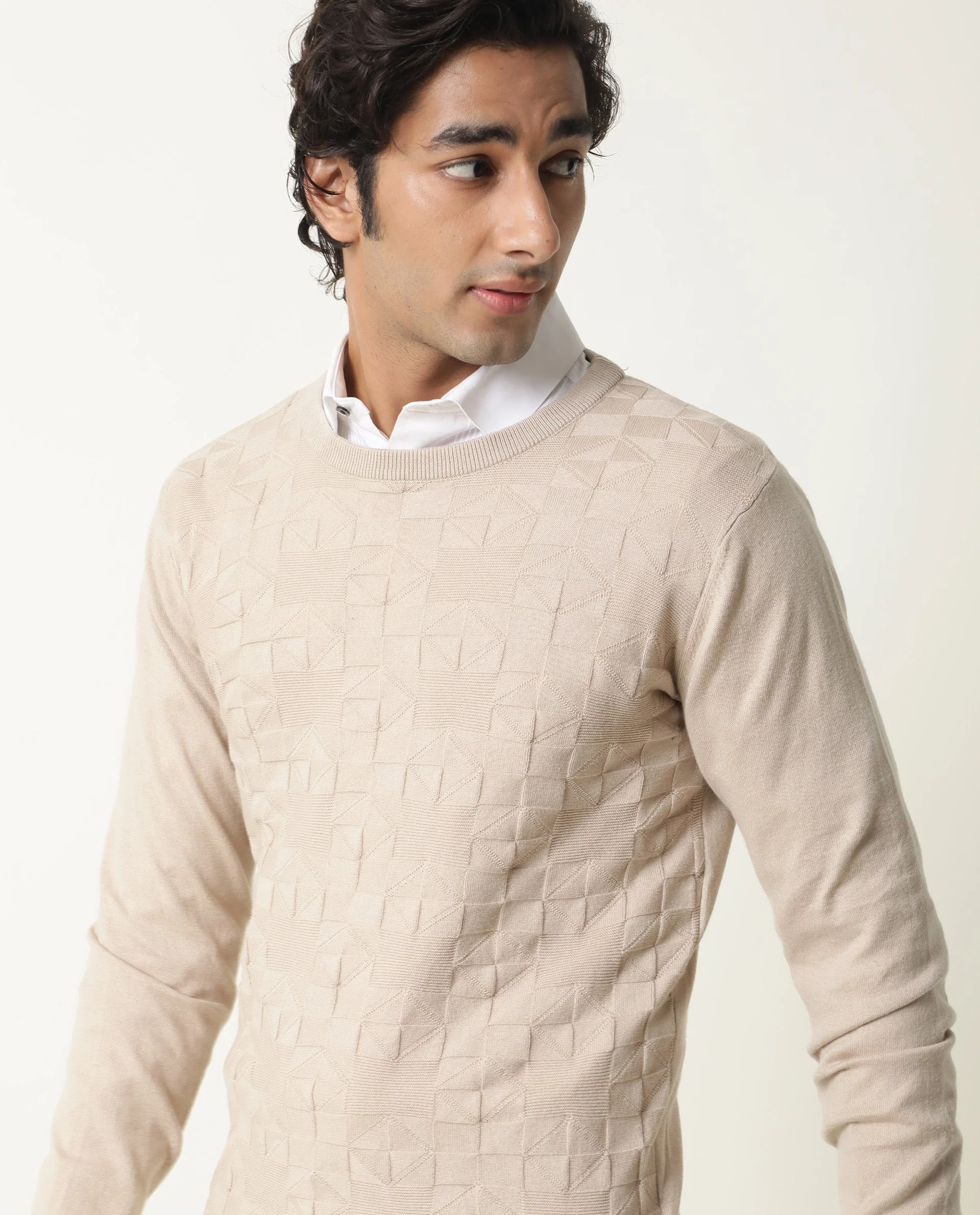 Rare Rabbit Men's Russ Beige Cotton Textured Relaxed Fit Full Sleeve Crew Neck Sweater - Image 4