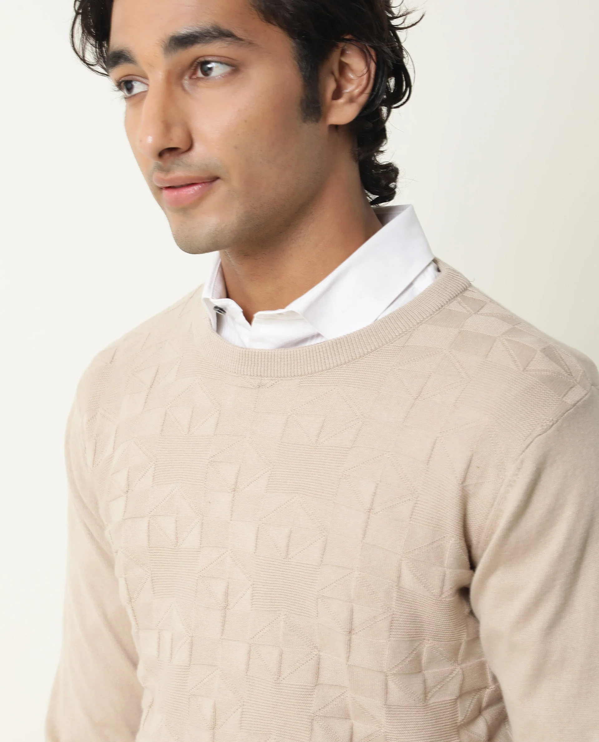 Rare Rabbit Men's Russ Beige Cotton Textured Relaxed Fit Full Sleeve Crew Neck Sweater - Image 5