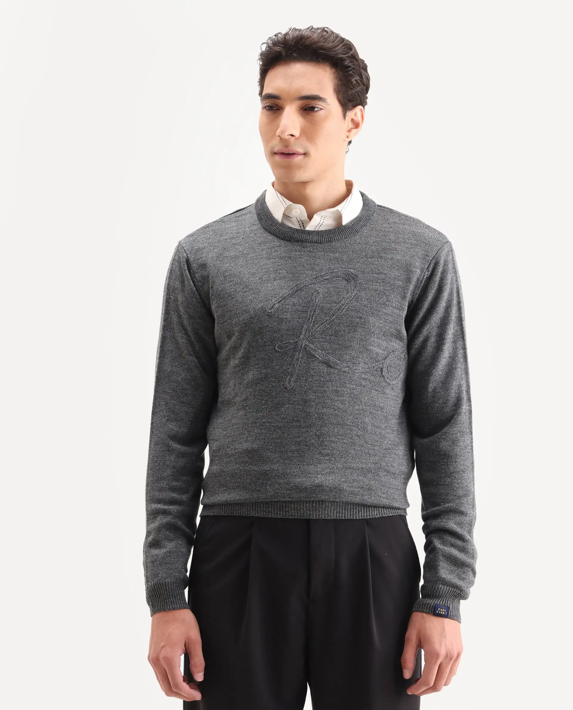Rare Rabbit Men's Saturno Dusky Grey Acrylic Embroidered Regular Fit Full Sleeve Crew Neck Sweater - Image 5