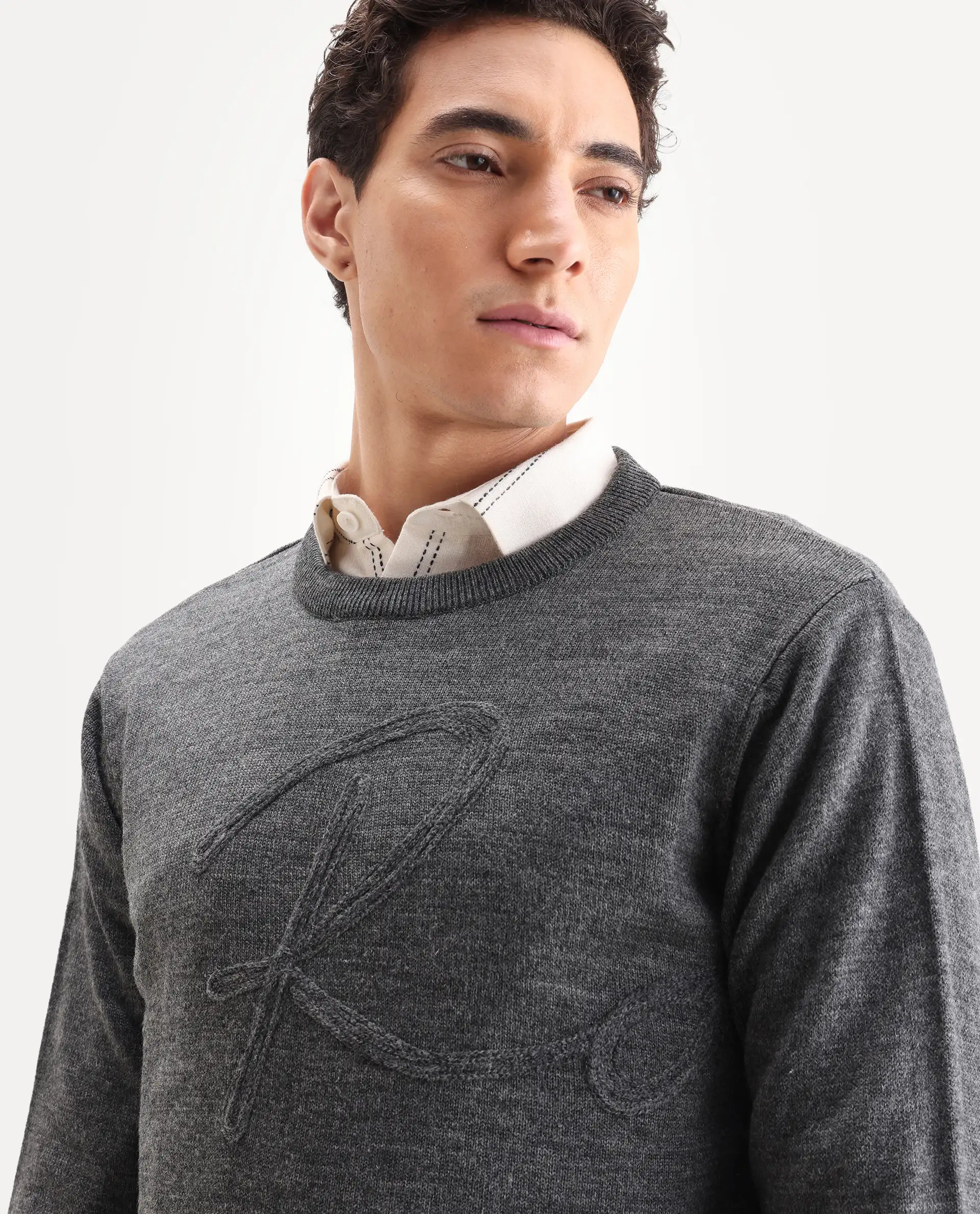 Rare Rabbit Men's Saturno Dusky Grey Acrylic Embroidered Regular Fit Full Sleeve Crew Neck Sweater - Image 6