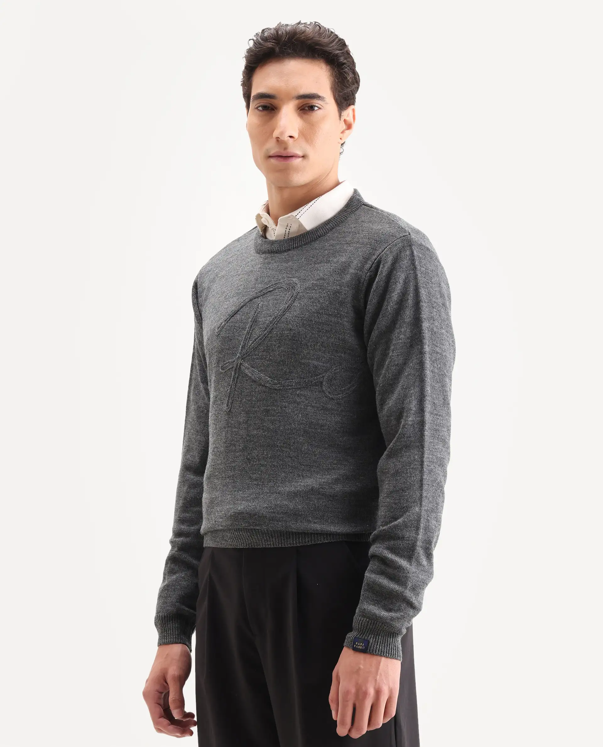 Rare Rabbit Men's Saturno Dusky Grey Acrylic Embroidered Regular Fit Full Sleeve Crew Neck Sweater - Image 7