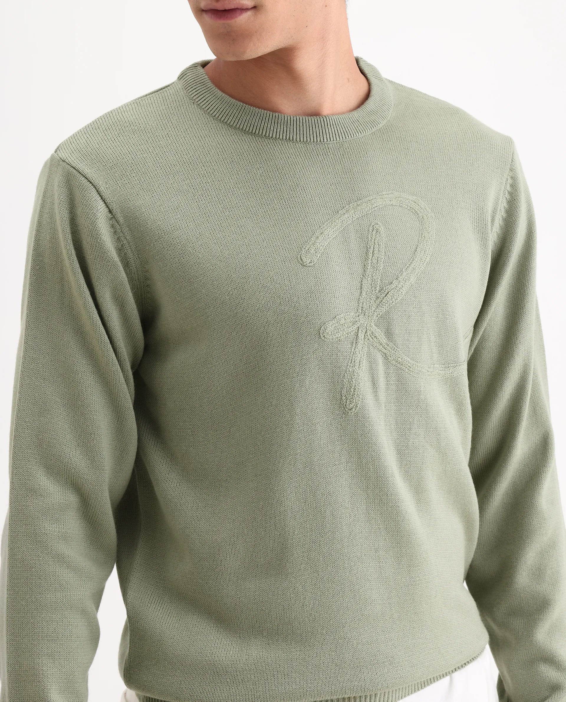 Rare Rabbit Men's Saturno Light Olive Acrylic Embroidered Regular Fit Full Sleeve Crew Neck Sweater - Image 3