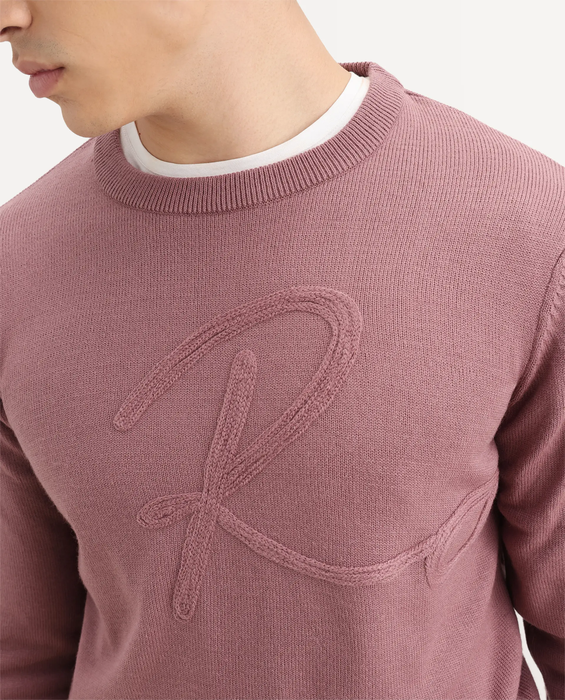 Rare Rabbit Men's Saturno Pink Acrylic Embroidered Regular Fit Full Sleeve Crew Neck Sweater - Image 3