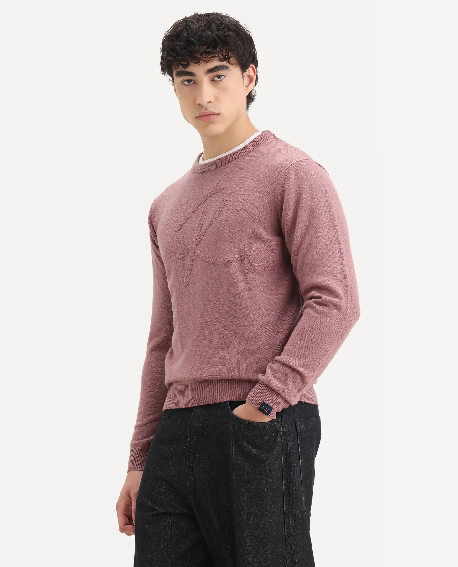 Rare Rabbit Men's Saturno Pink Acrylic Embroidered Regular Fit Full Sleeve Crew Neck Sweater - Image 5