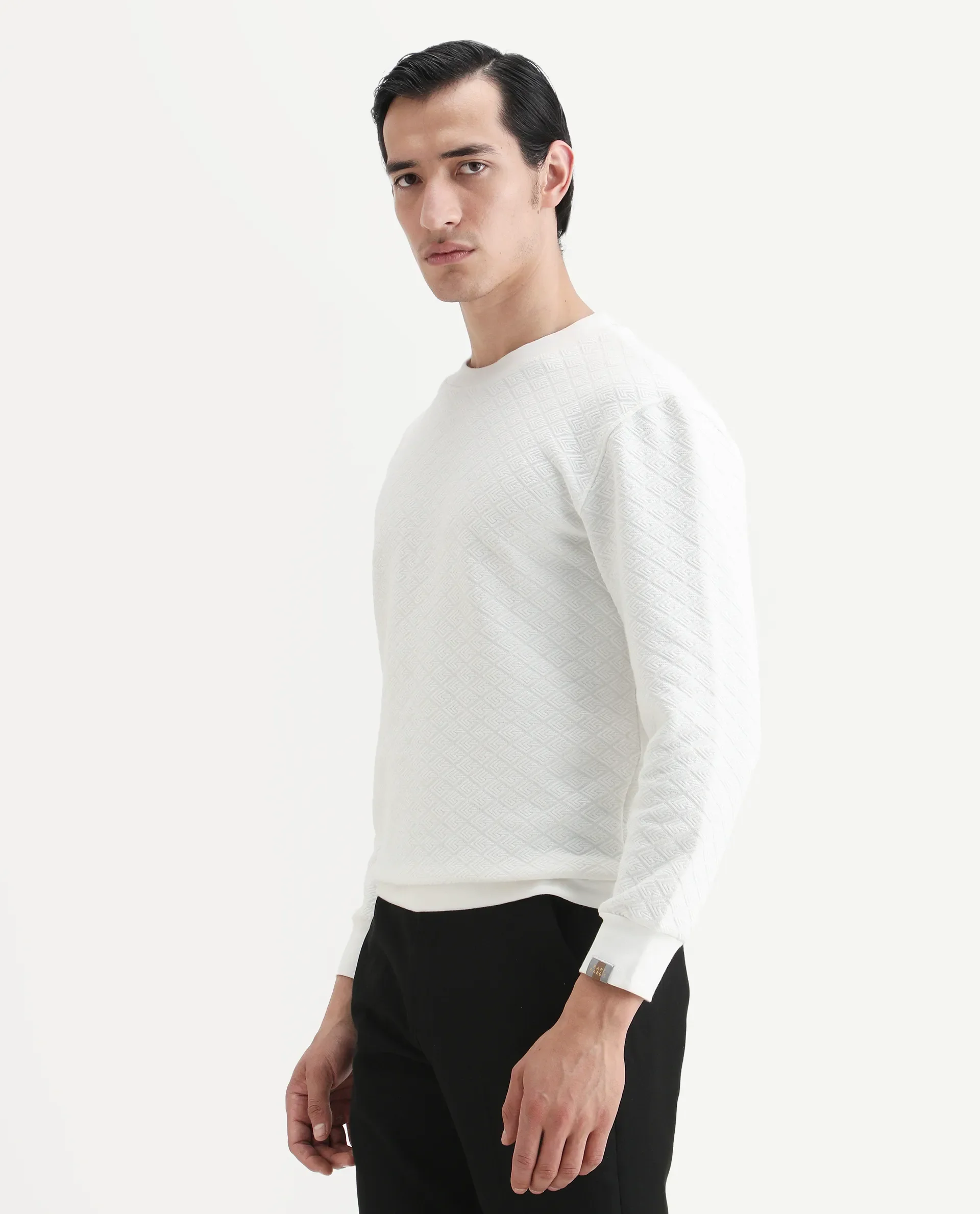 Rare Rabbit Men's Sheild-2 White Textured Regular Fit Full Sleeve Crew Neck Sweatshirt - Image 6