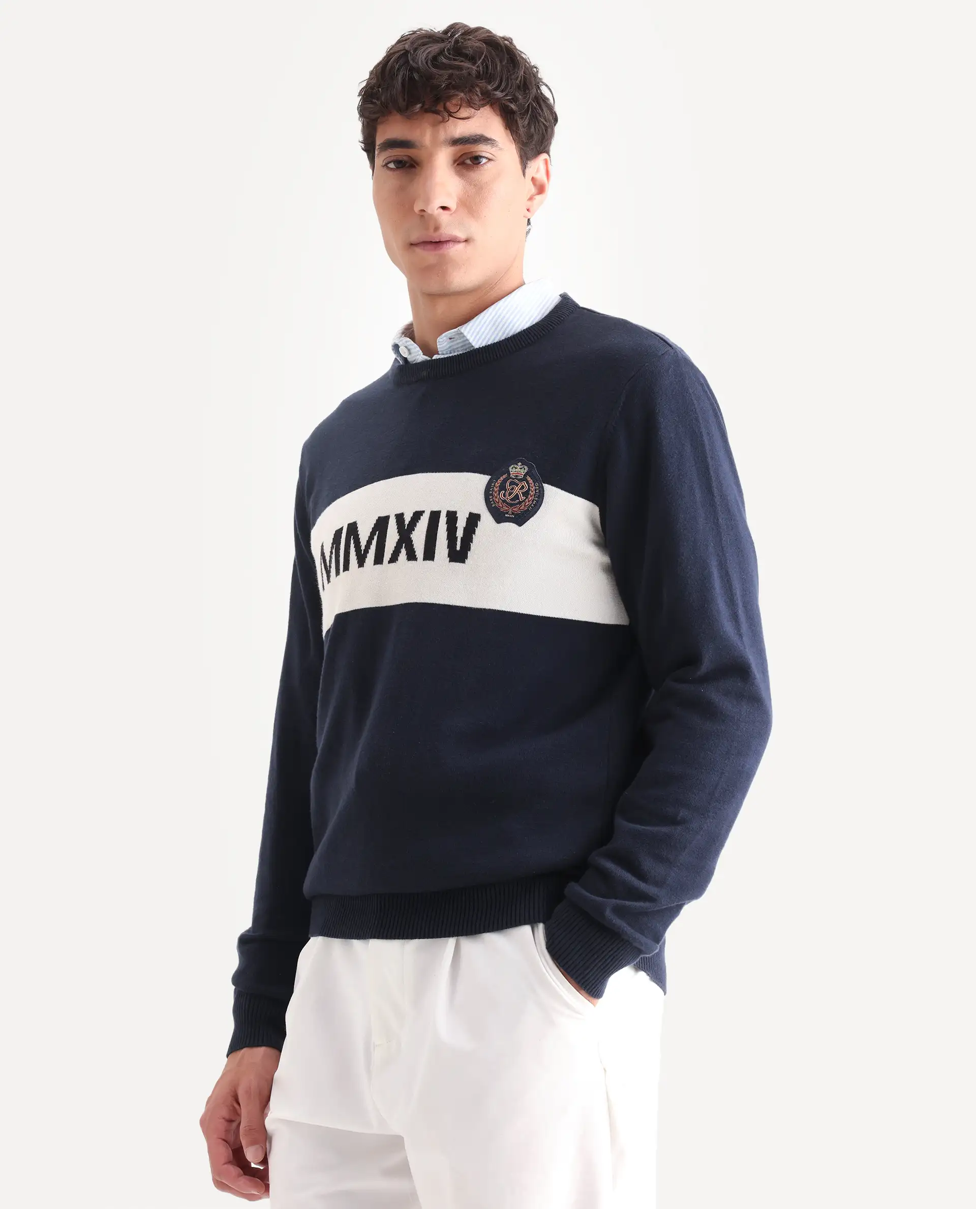 Rare Rabbit Men's Since Navy Cotton Jacquard Relaxed Fit Full Sleeve Crew Neck Sweater - Image 5
