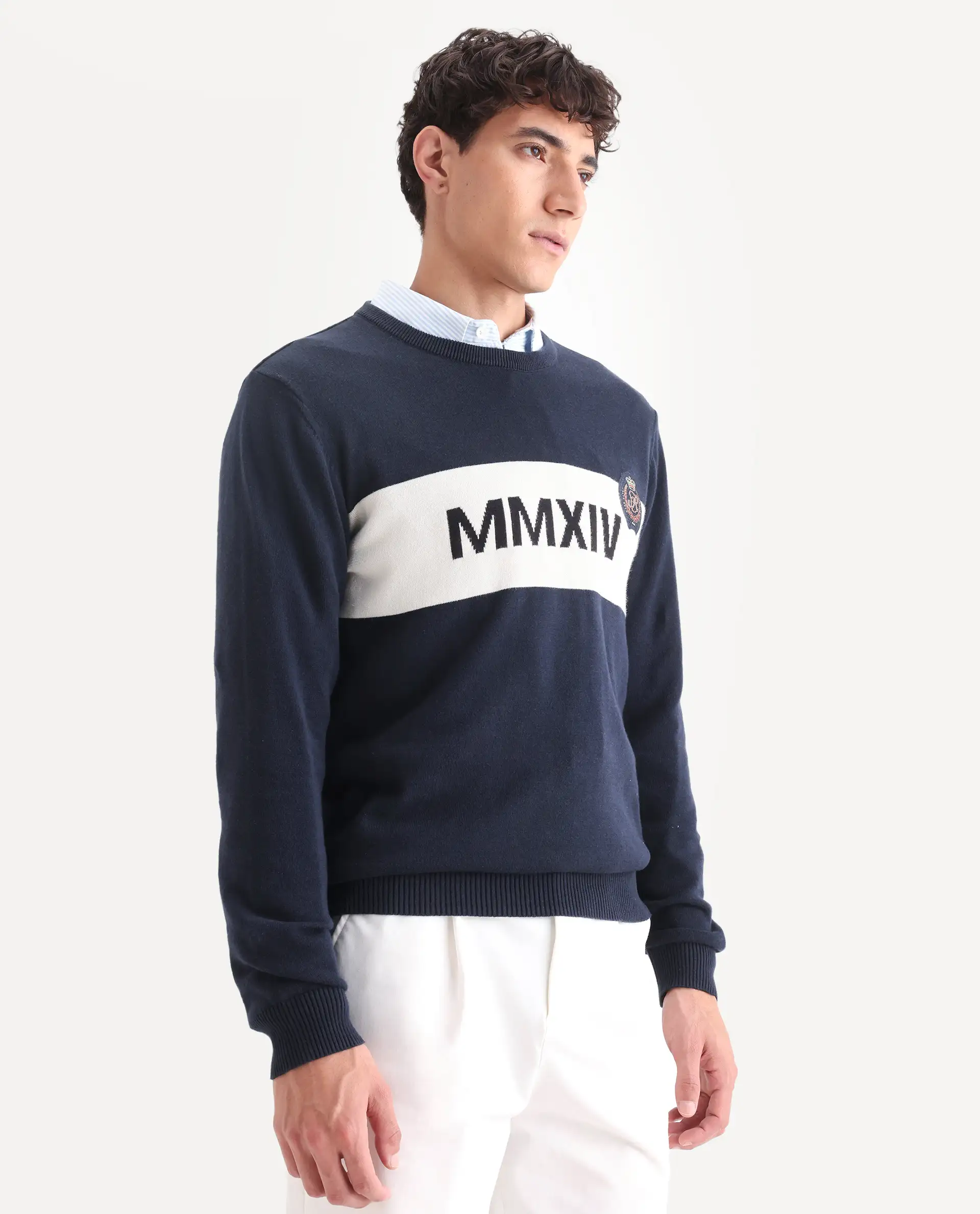 Rare Rabbit Men's Since Navy Cotton Jacquard Relaxed Fit Full Sleeve Crew Neck Sweater - Image 6