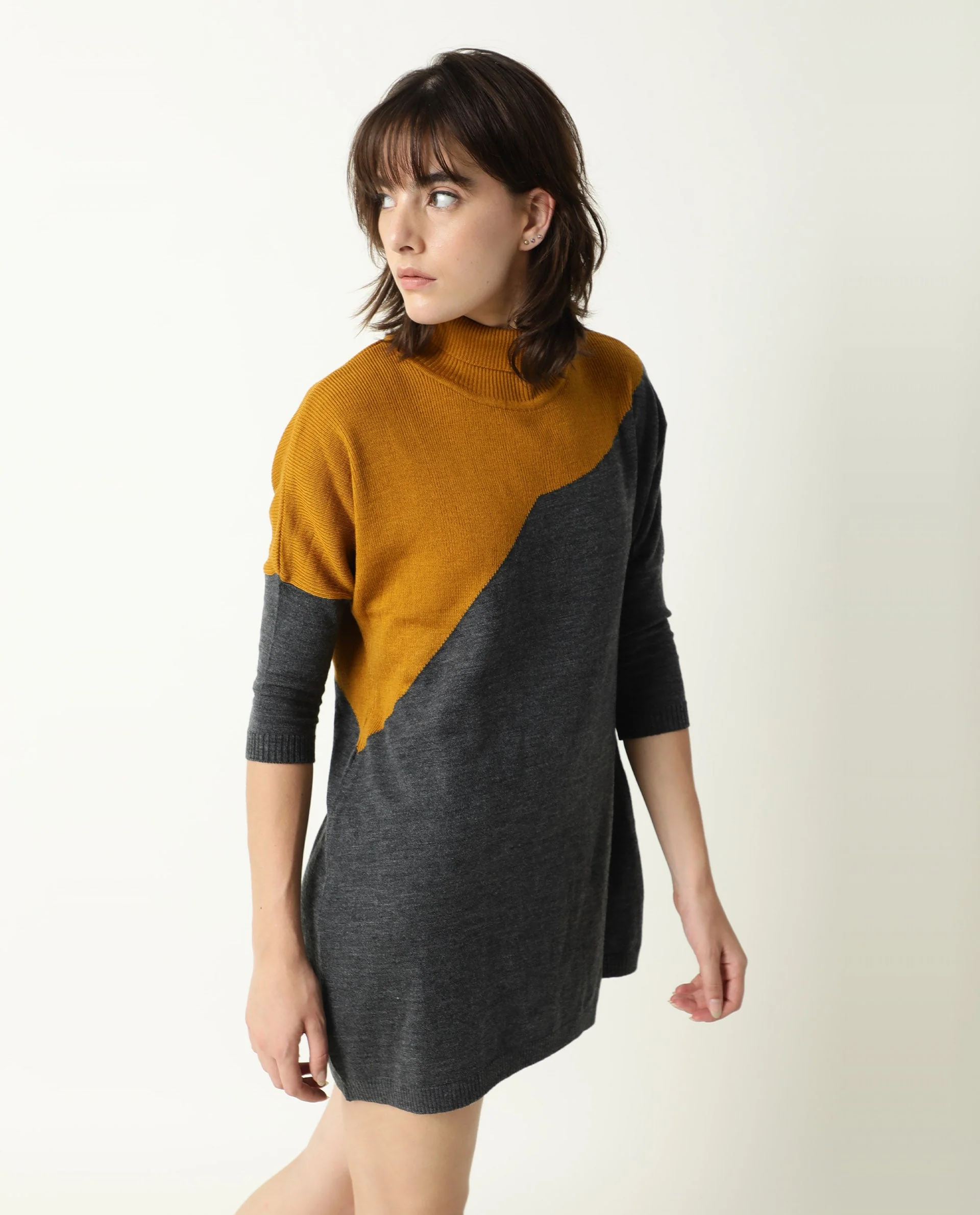 Rareism Women's Spaton Grey Acrylic High Neck Color Block Knee Length Regular Fit Sweater - Image 5