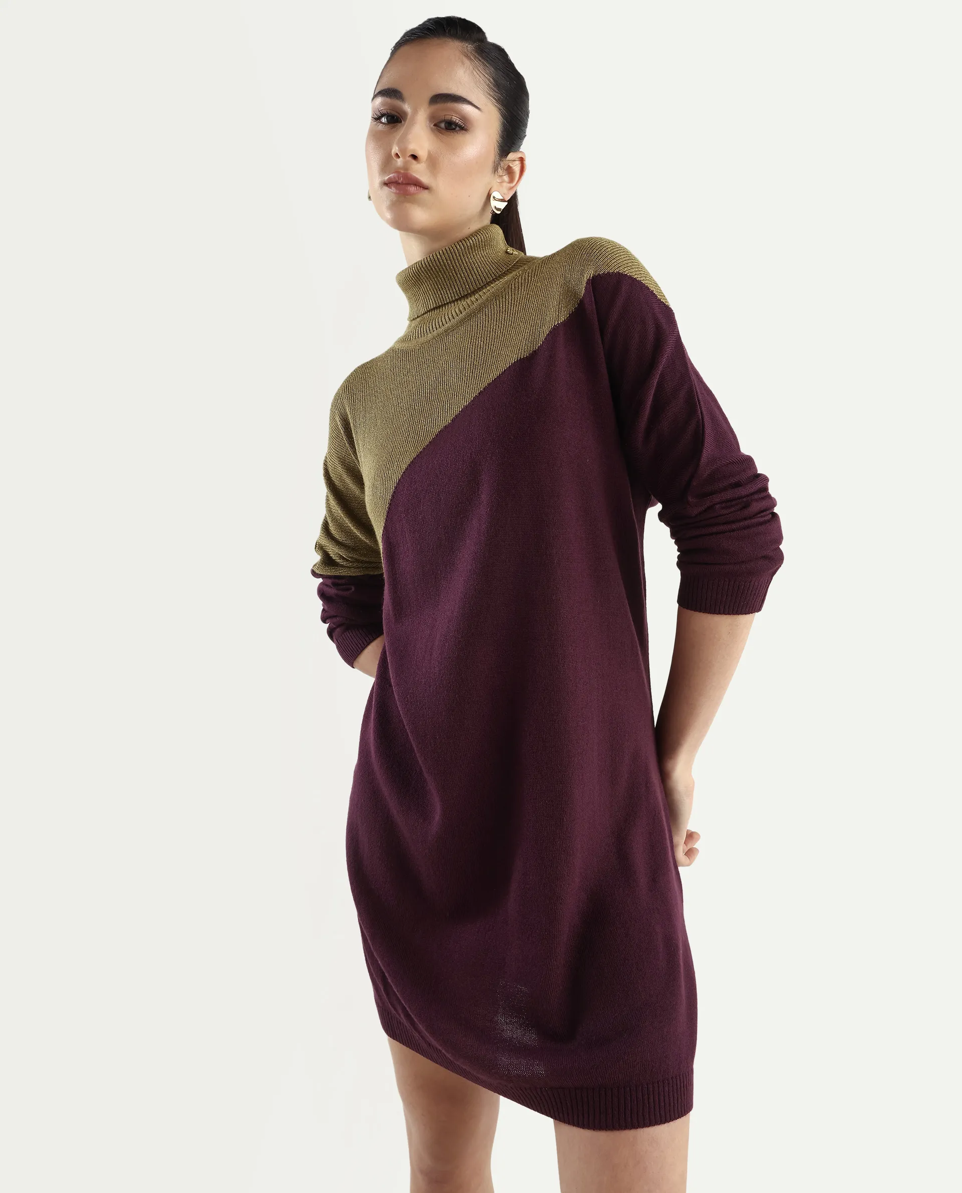 Rareism Women's Spaton Maroon Knit Turtle Neck Plain Knee Length Straight Fit Sweater - Image 3