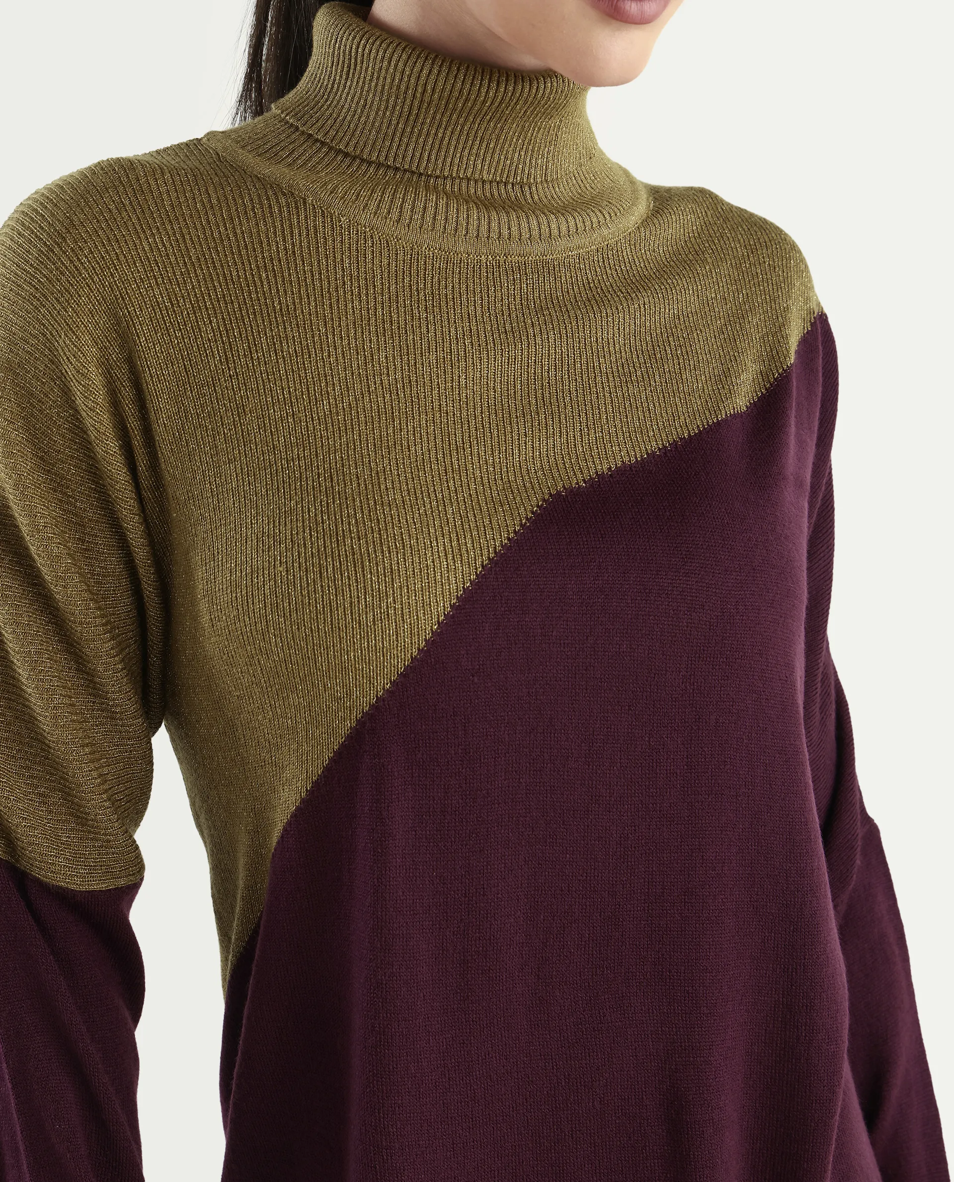 Rareism Women's Spaton Maroon Knit Turtle Neck Plain Knee Length Straight Fit Sweater - Image 4
