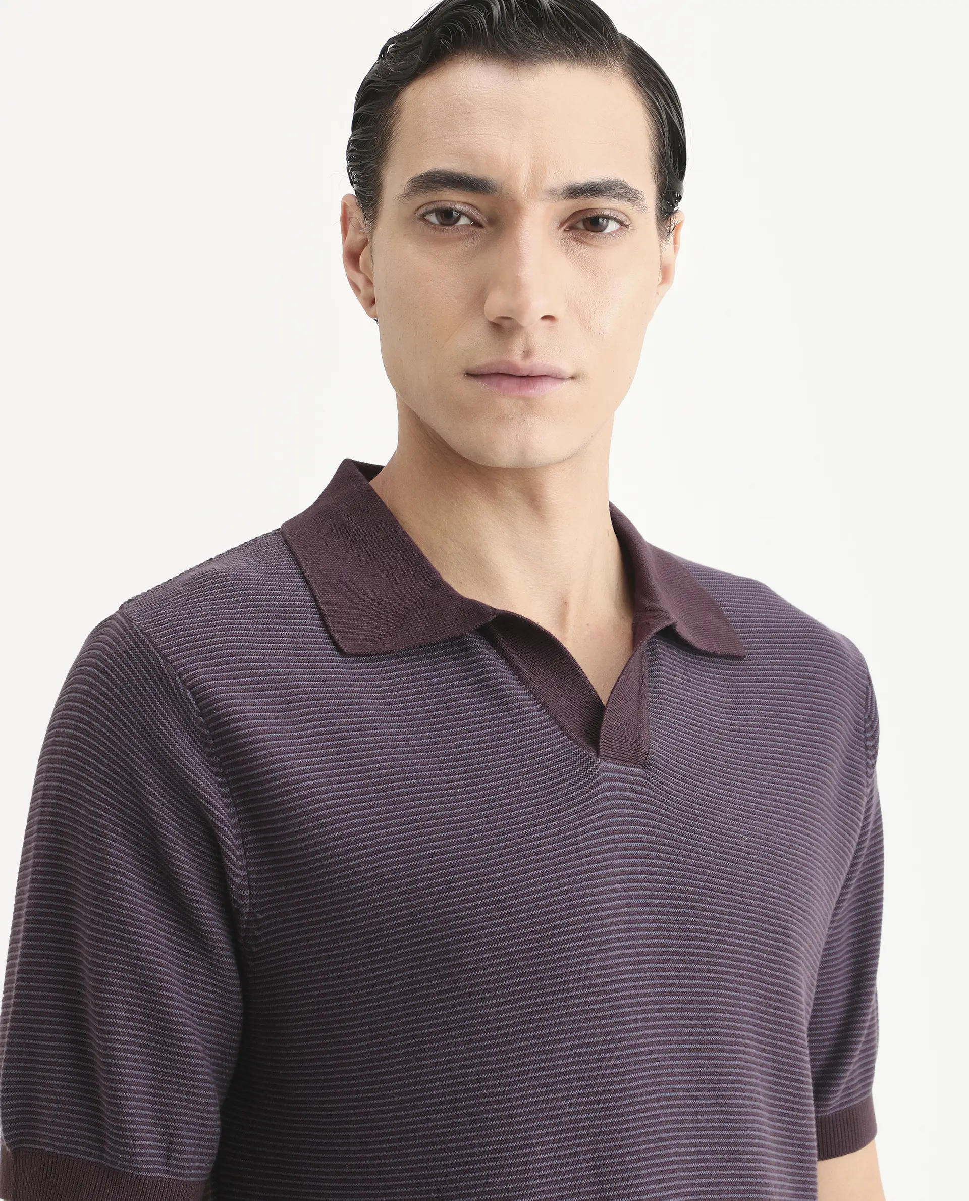 Rare Rabbit Men's Stir Dark Purple Cotton Fabric Half Sleeve Regular Fit Textured Polo - Image 3