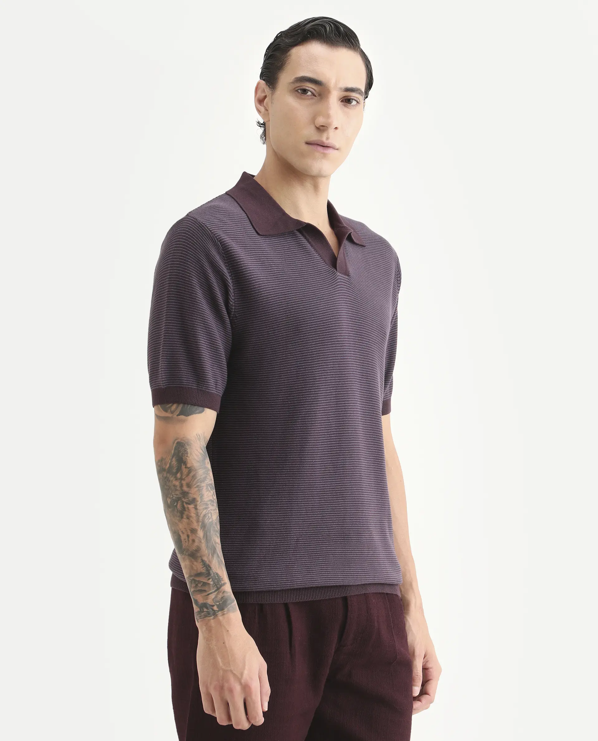 Rare Rabbit Men's Stir Dark Purple Cotton Fabric Half Sleeve Regular Fit Textured Polo - Image 6
