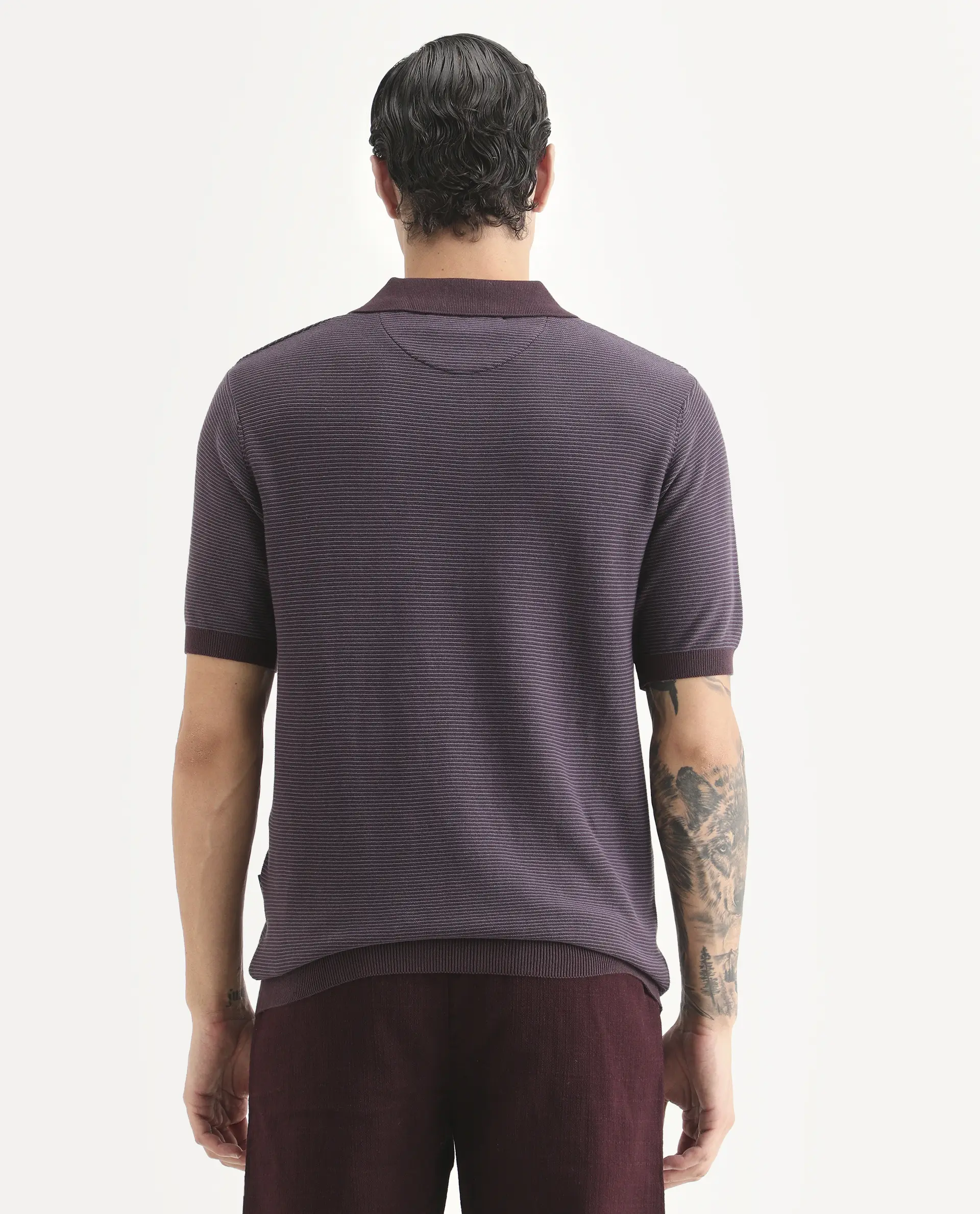 Rare Rabbit Men's Stir Dark Purple Cotton Fabric Half Sleeve Regular Fit Textured Polo - Image 7
