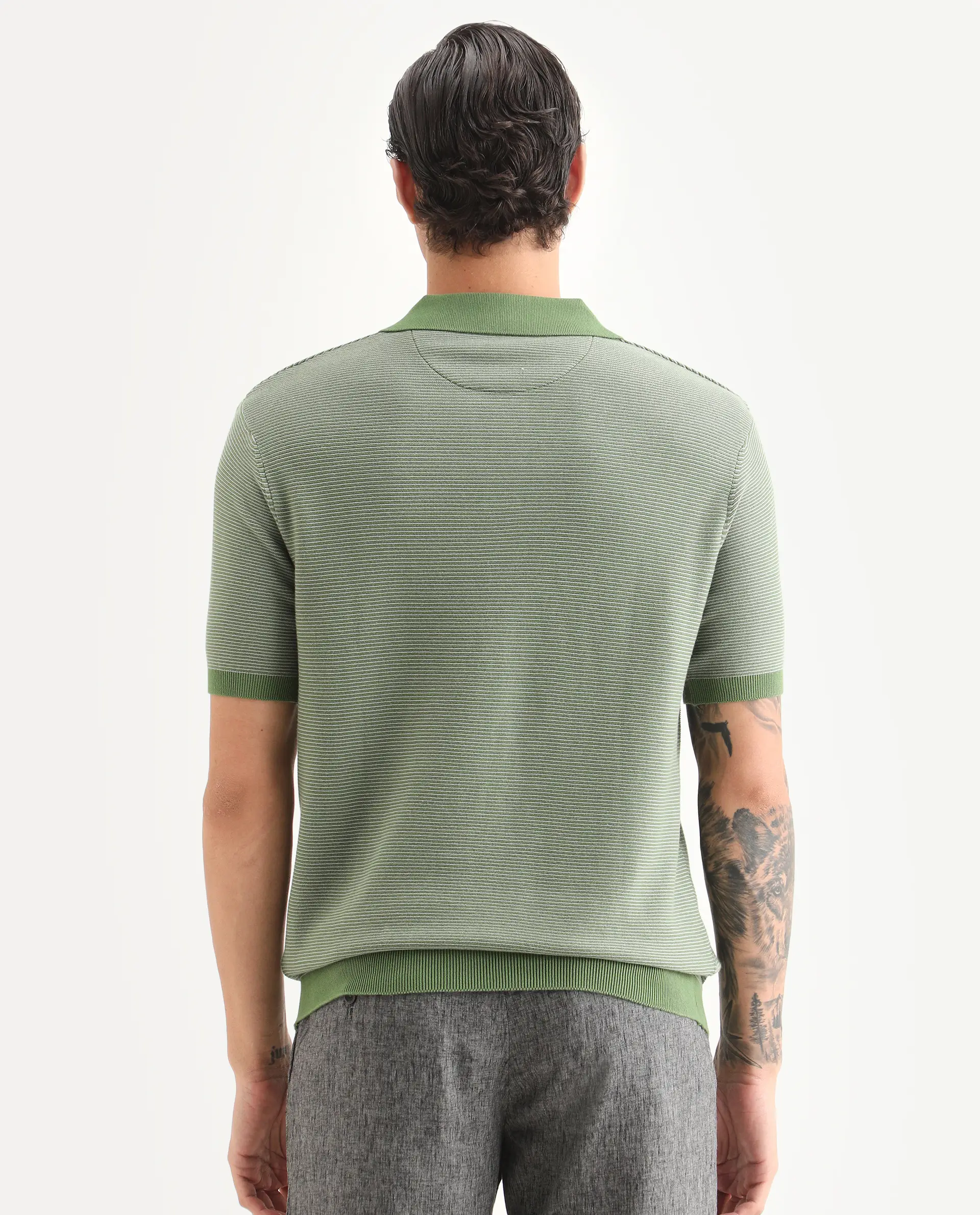 Rare Rabbit Men's Stir Green Cotton Fabric Half Sleeve Regular Fit Textured Polo - Image 7
