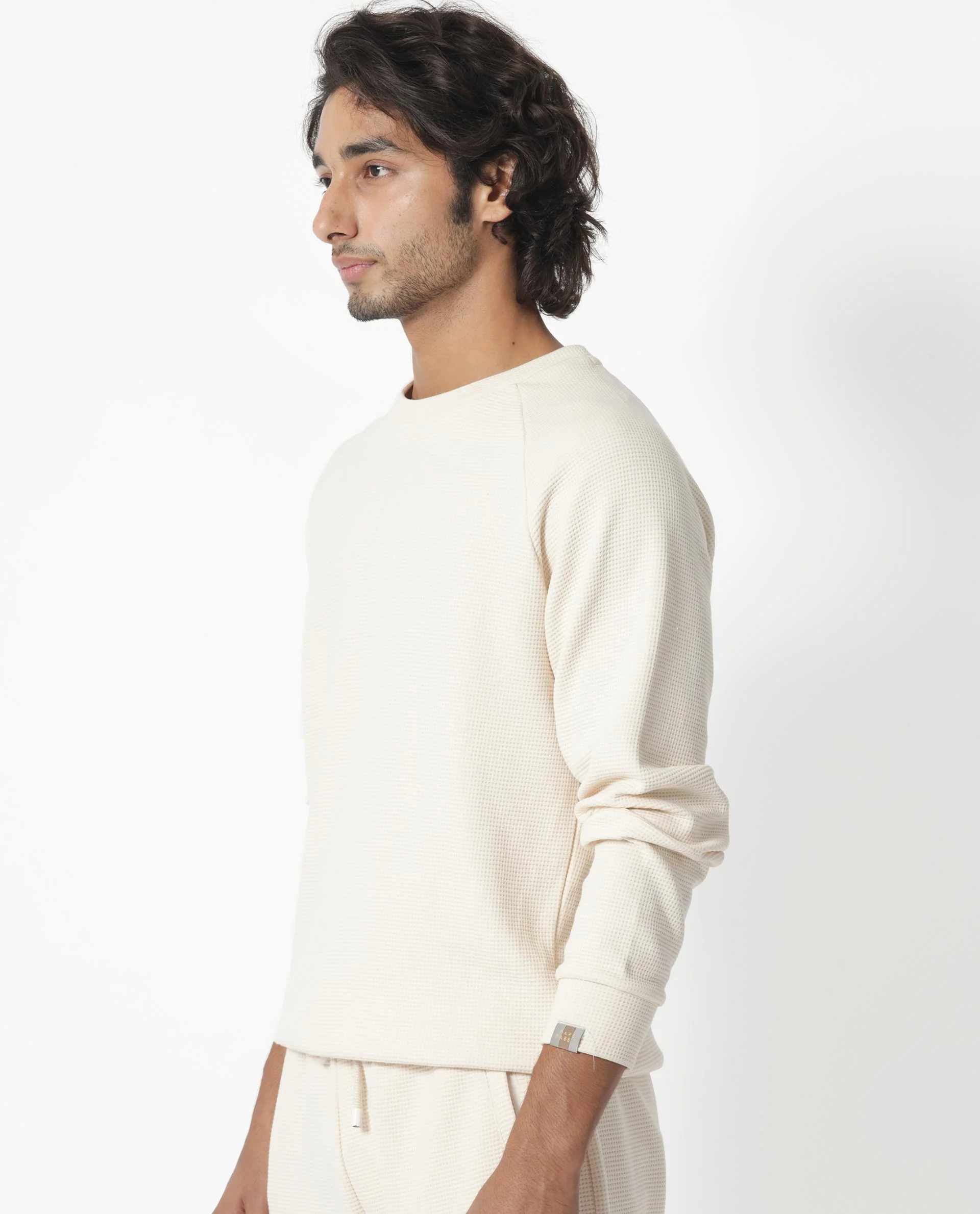 Rare Rabbit Men's Sven Light Beige Cotton Plain Regular Fit Full Sleeve Crew Neck Sweatshirt - Image 7