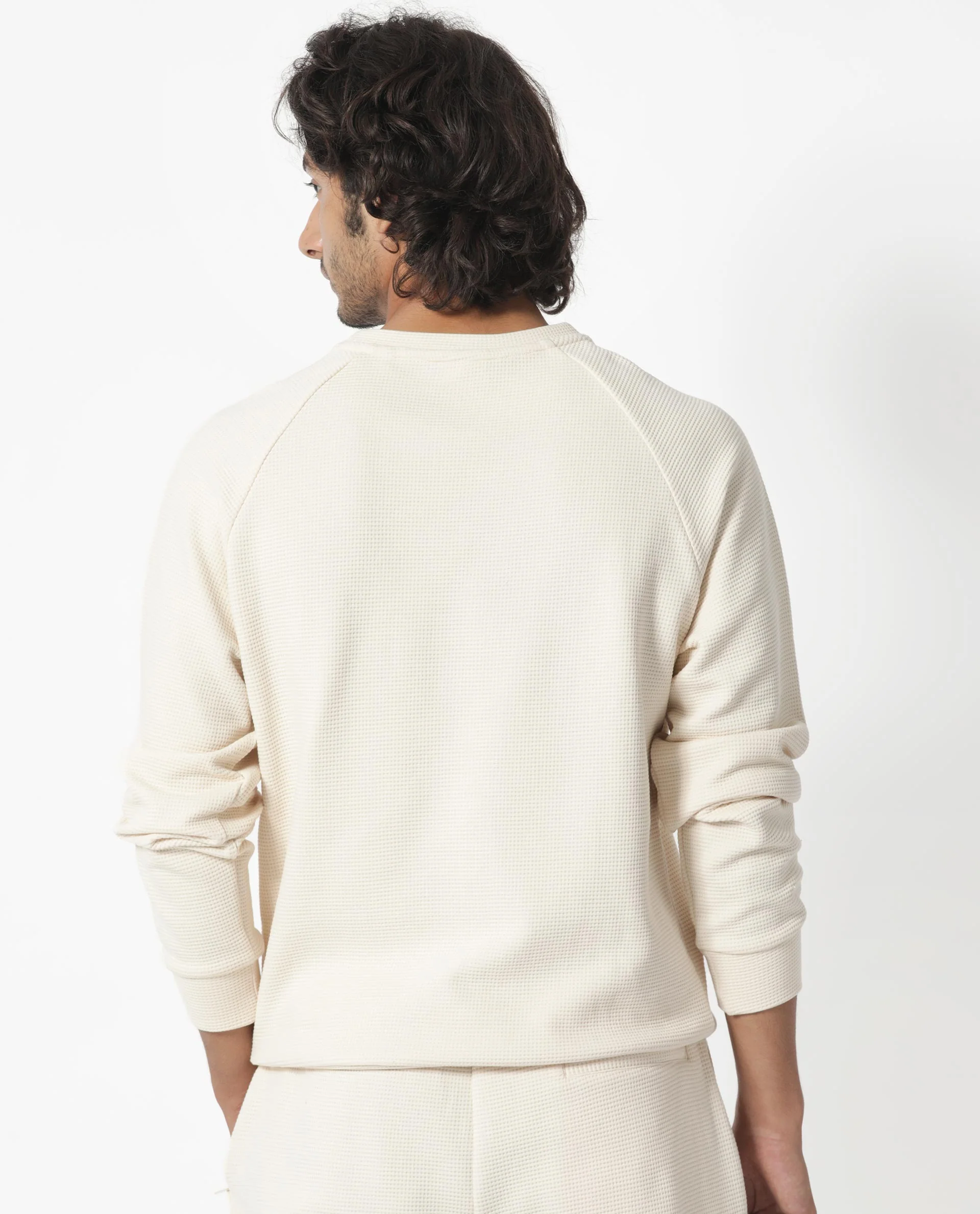 Rare Rabbit Men's Sven Light Beige Cotton Plain Regular Fit Full Sleeve Crew Neck Sweatshirt - Image 9