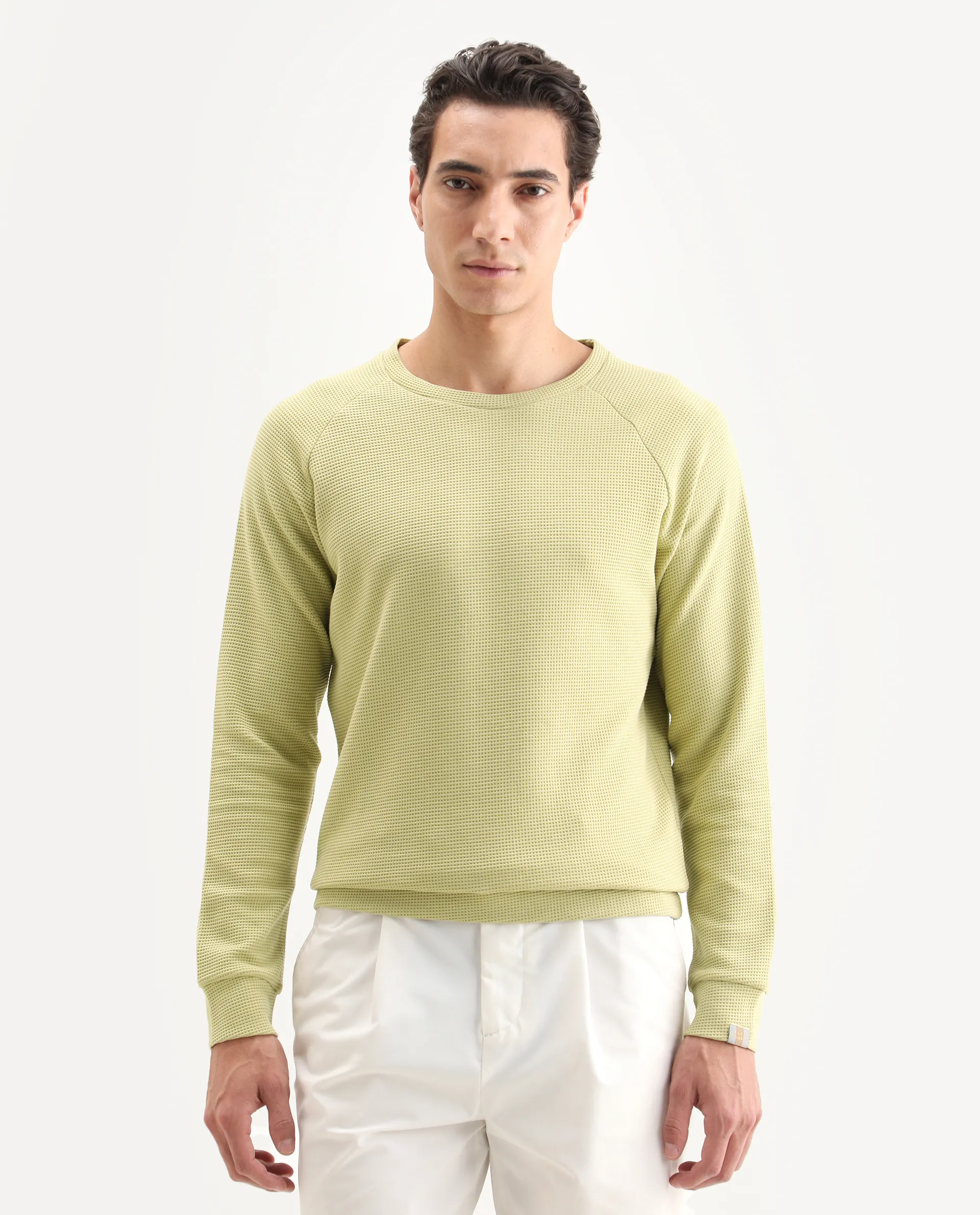 Rare Rabbit Men's Sven Pastel Green Cotton Plain Regular Fit Full Sleeve Crew Neck Sweatshirt - Image 3