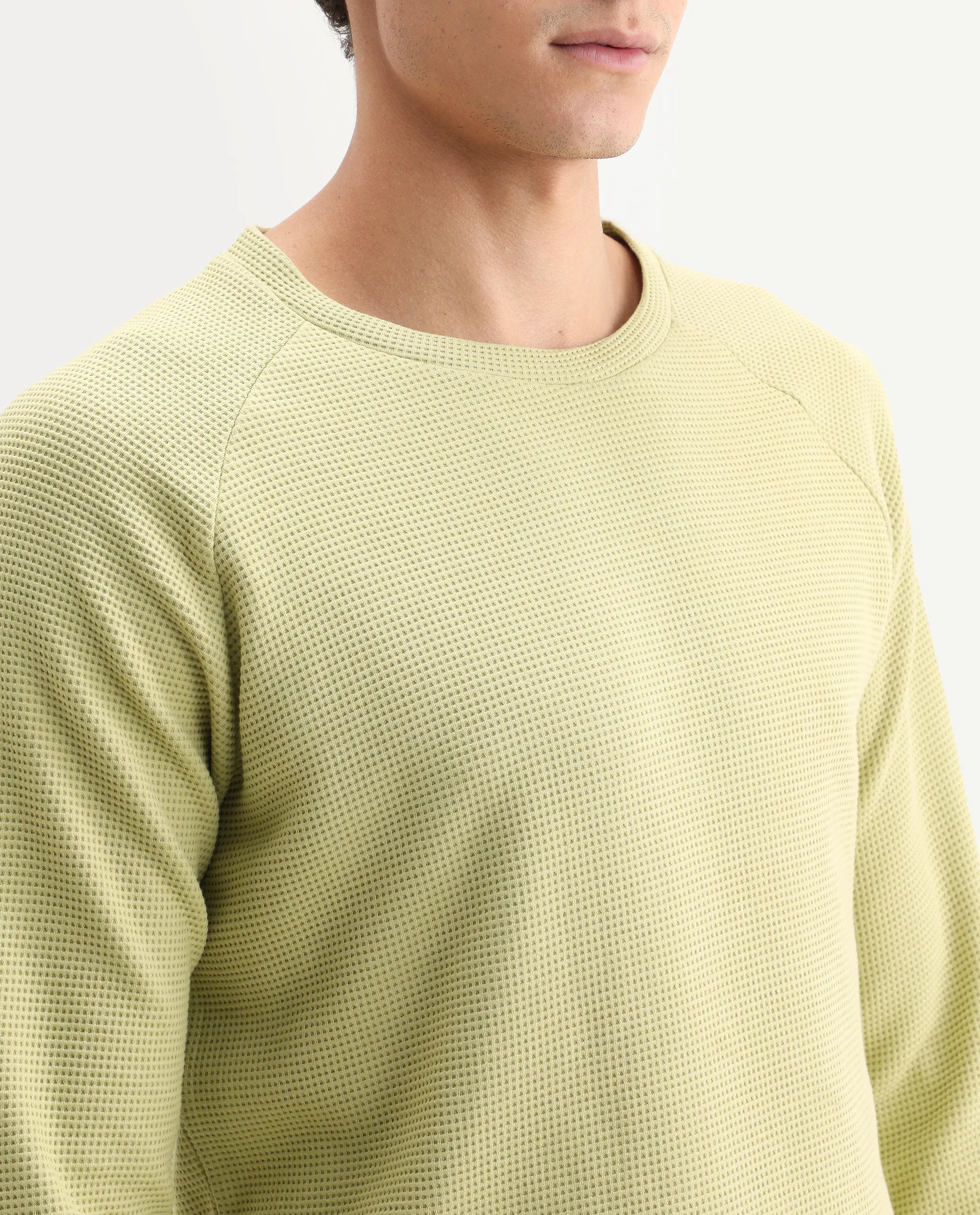Rare Rabbit Men's Sven Pastel Green Cotton Plain Regular Fit Full Sleeve Crew Neck Sweatshirt - Image 4
