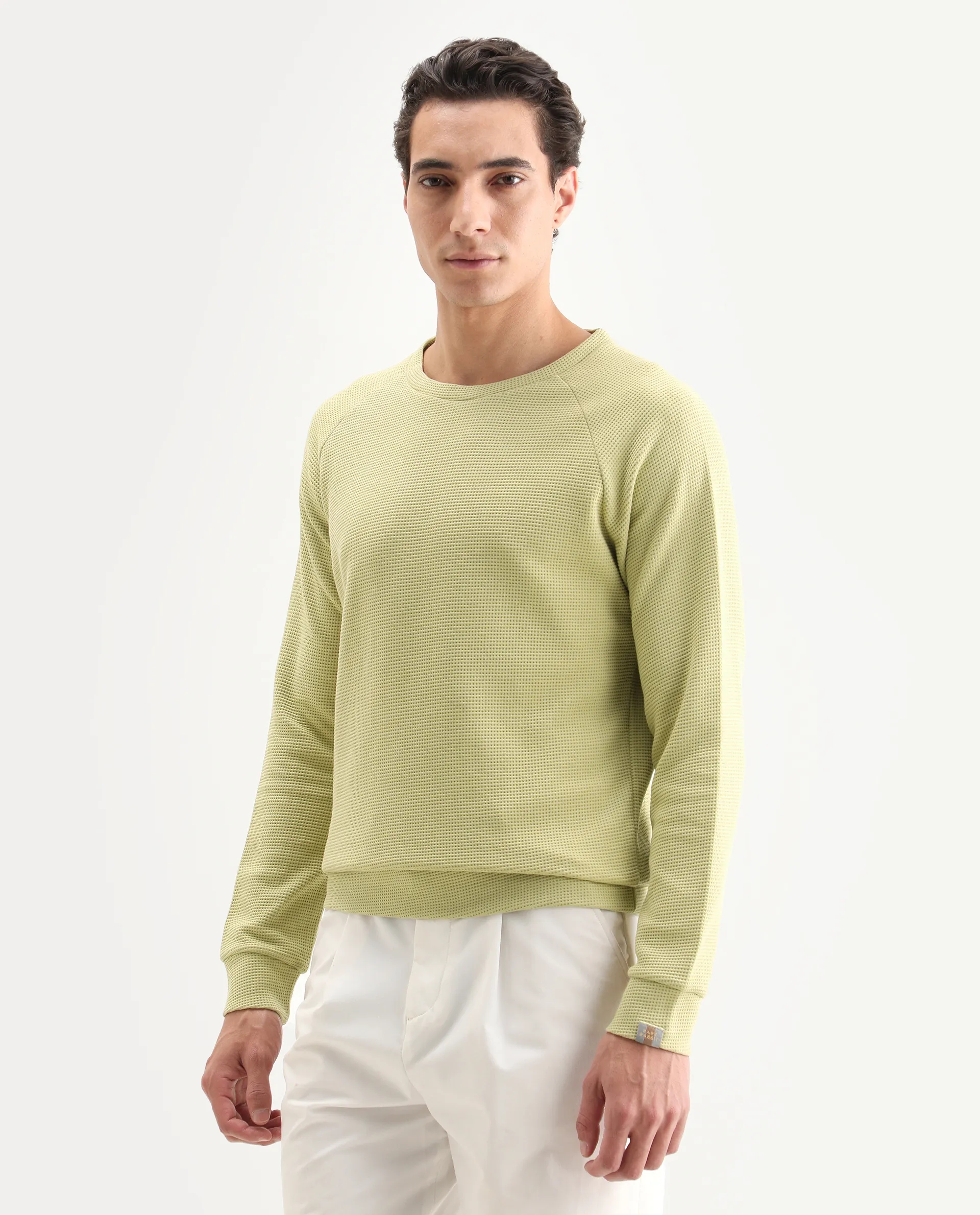 Rare Rabbit Men's Sven Pastel Green Cotton Plain Regular Fit Full Sleeve Crew Neck Sweatshirt - Image 5