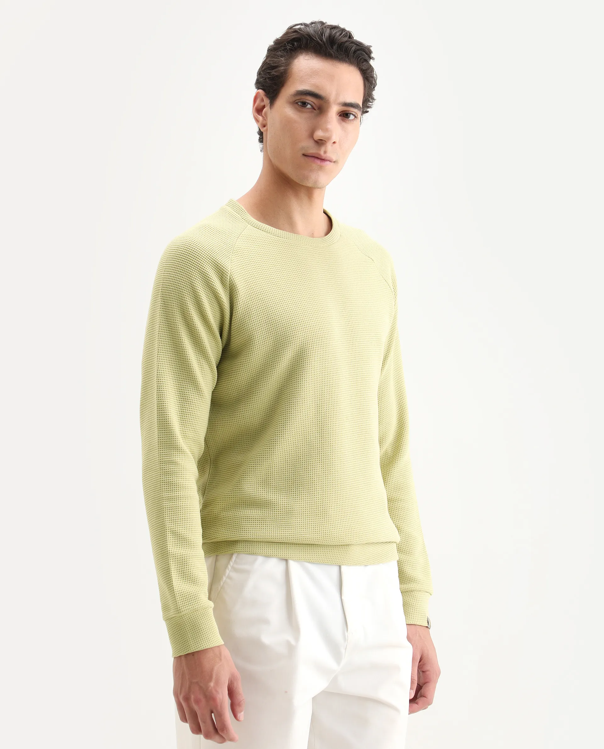 Rare Rabbit Men's Sven Pastel Green Cotton Plain Regular Fit Full Sleeve Crew Neck Sweatshirt - Image 6