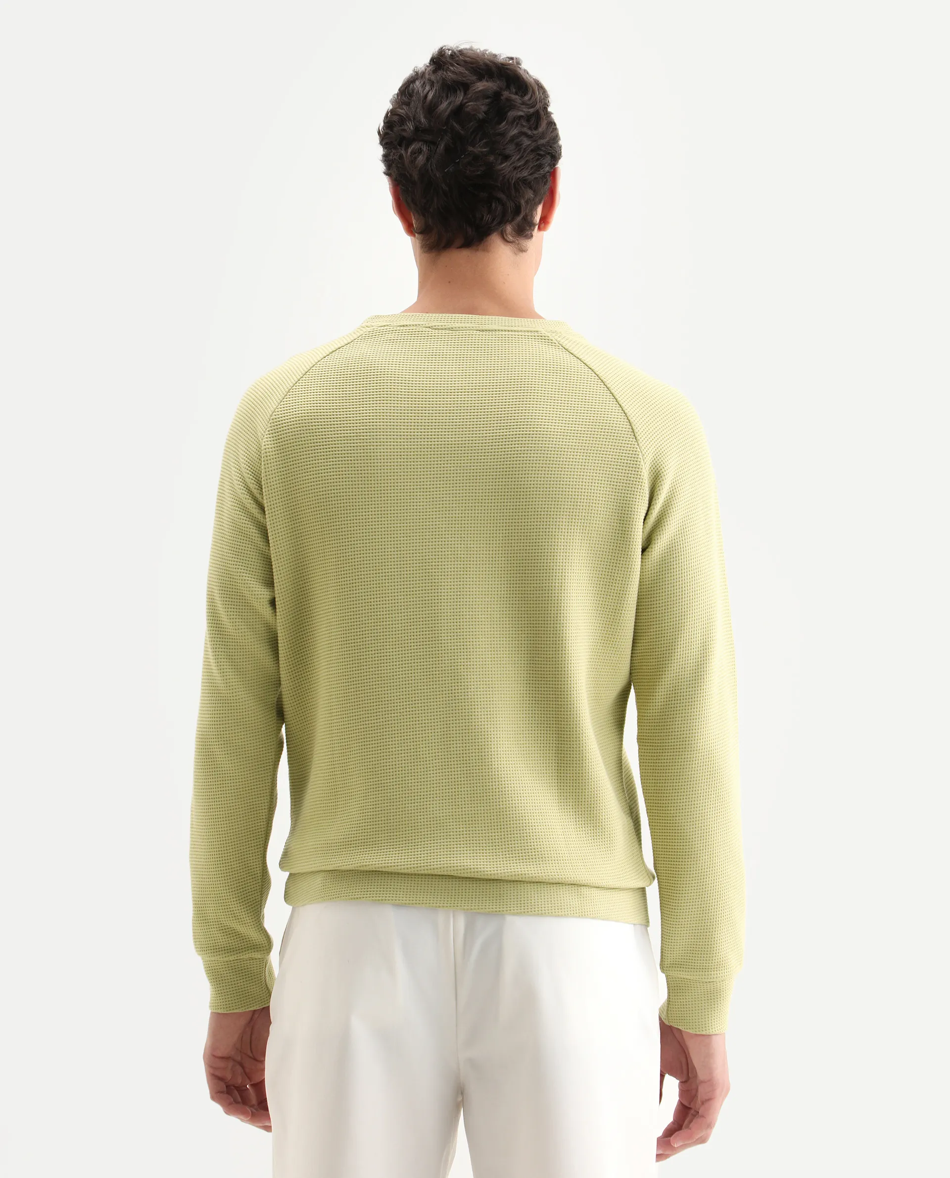 Rare Rabbit Men's Sven Pastel Green Cotton Plain Regular Fit Full Sleeve Crew Neck Sweatshirt - Image 7