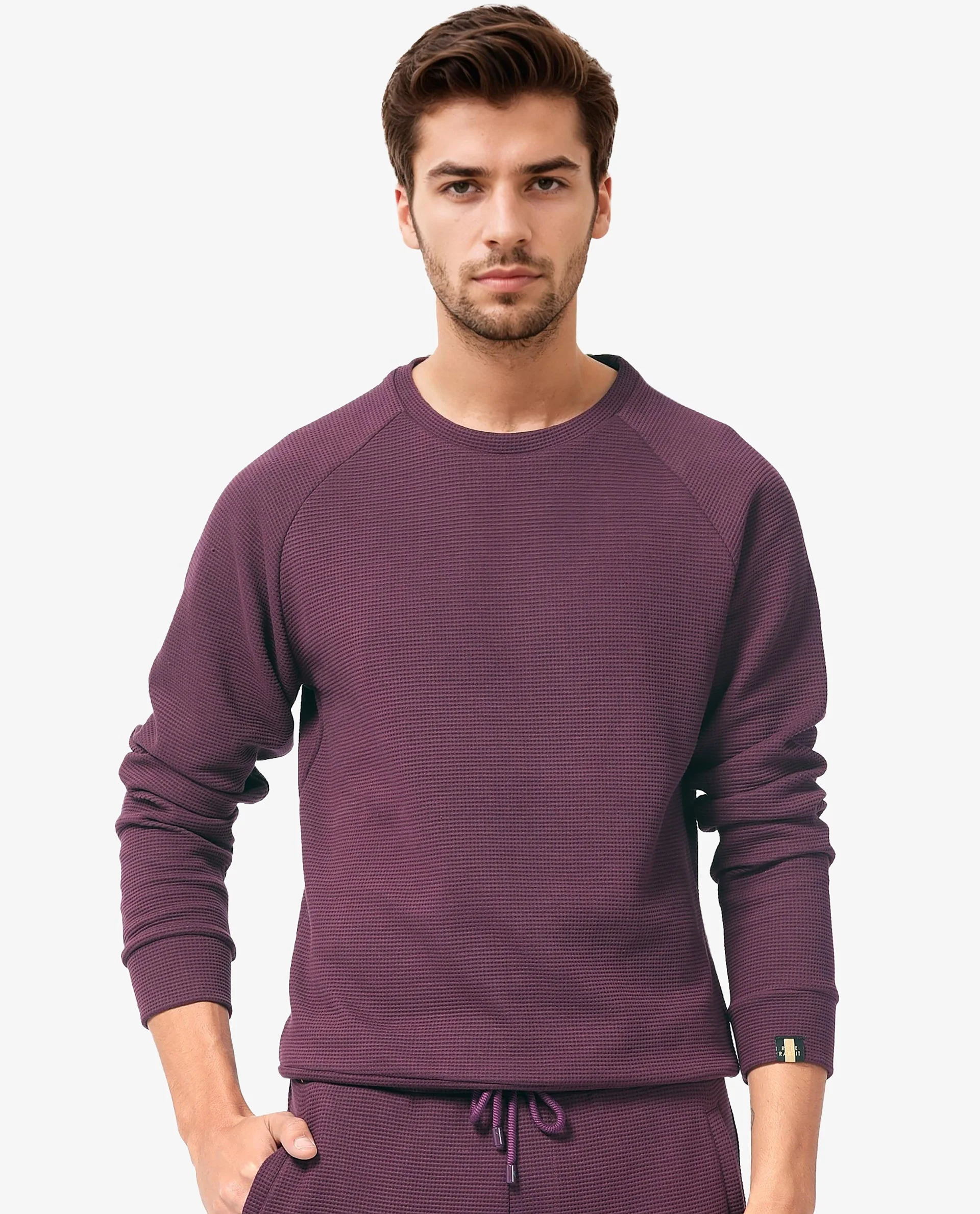 Rare Rabbit Men's Sven Purple Cotton Plain Regular Fit Full Sleeve Crew Neck Sweatshirt